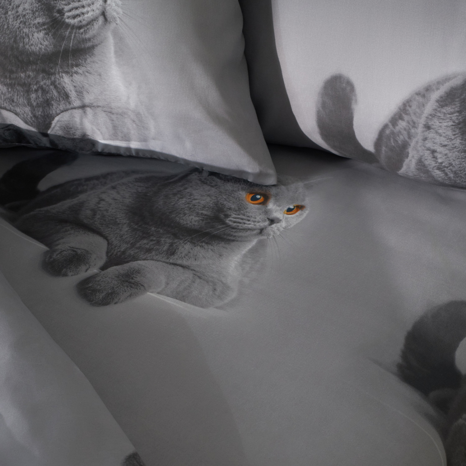 Постельное белье Британский кот - фото № 7