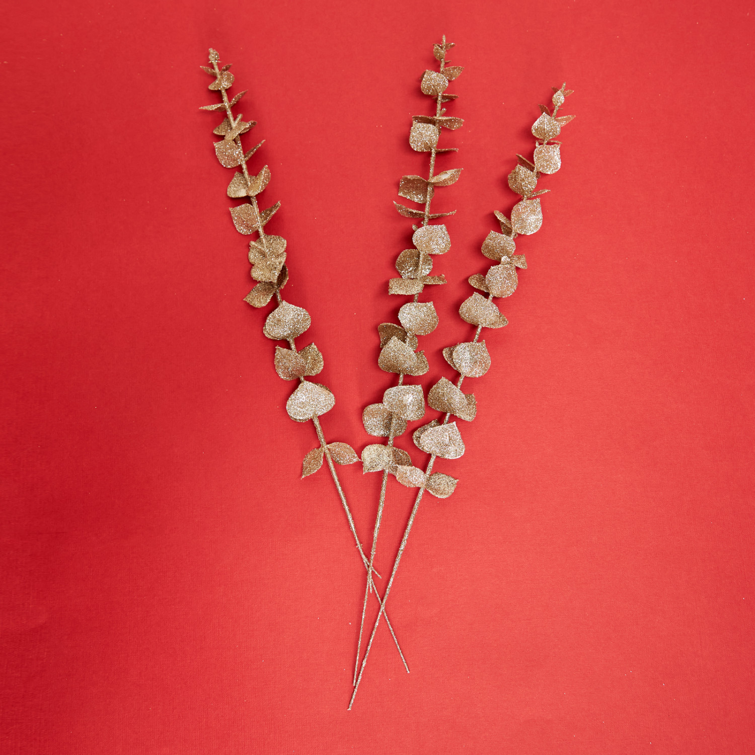 Ветвь Монтьери/Montieri I - фото № 4