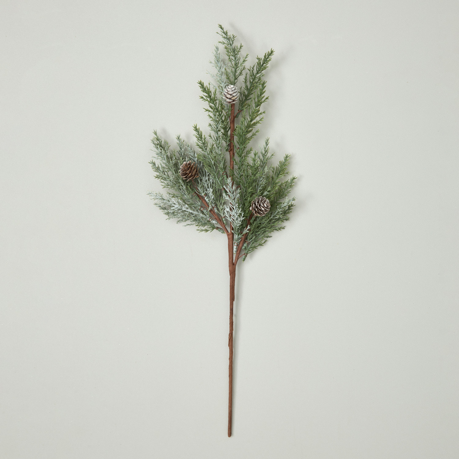 Ветвь Rametto VI - фото № 2