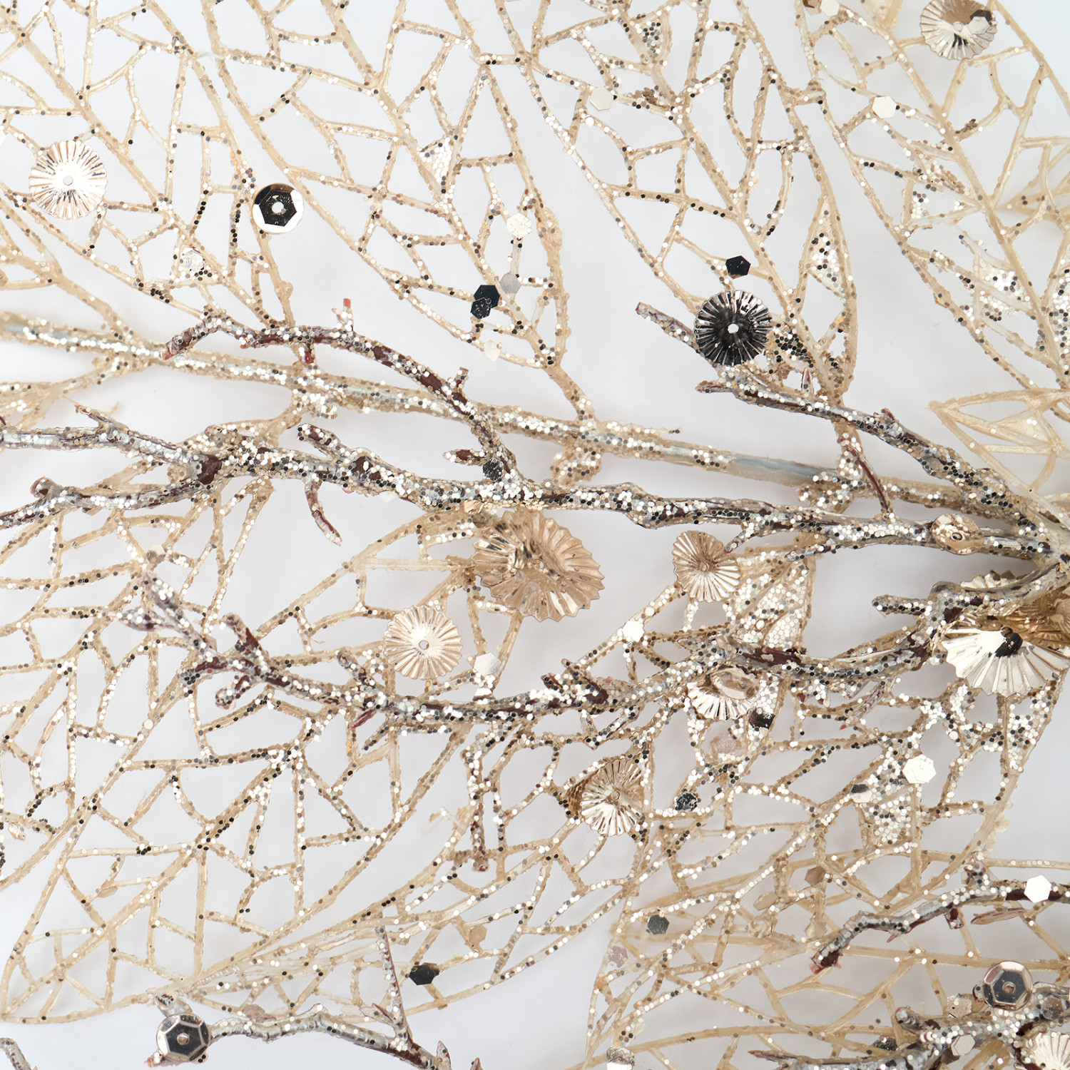 Ветвь Matellica - фото № 4