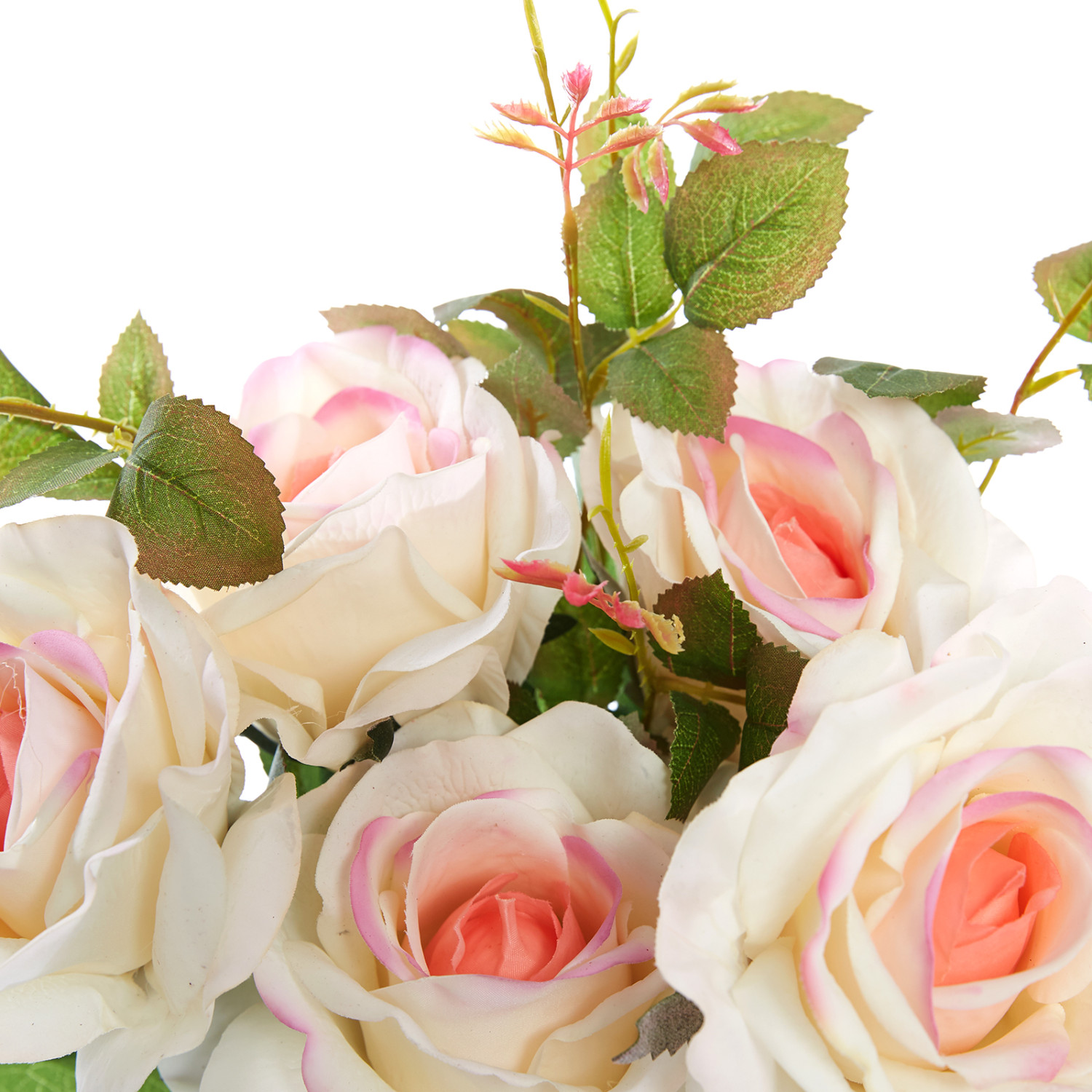 Цветок Peligna - фото № 3