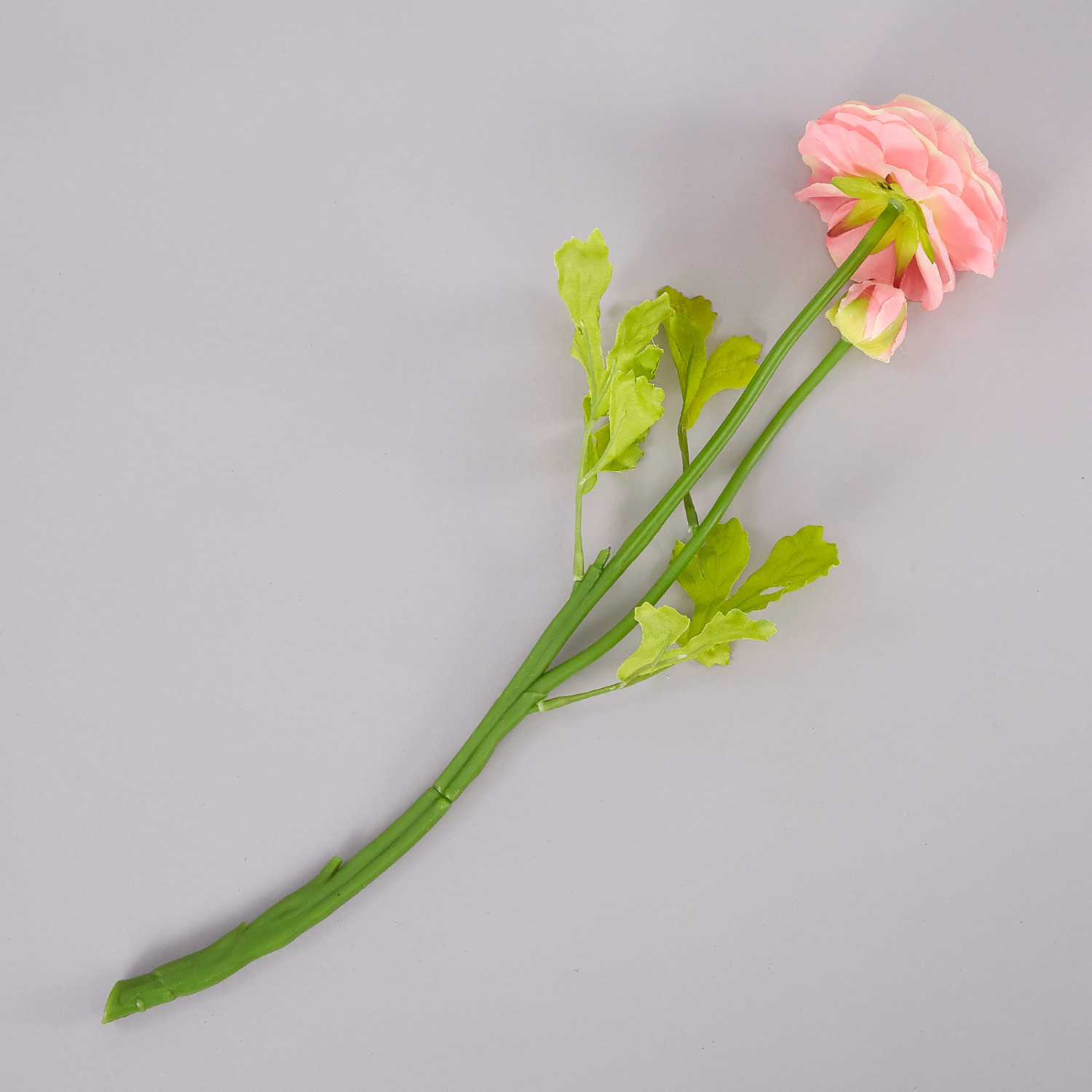 Цветок Ranunculus - фото № 2