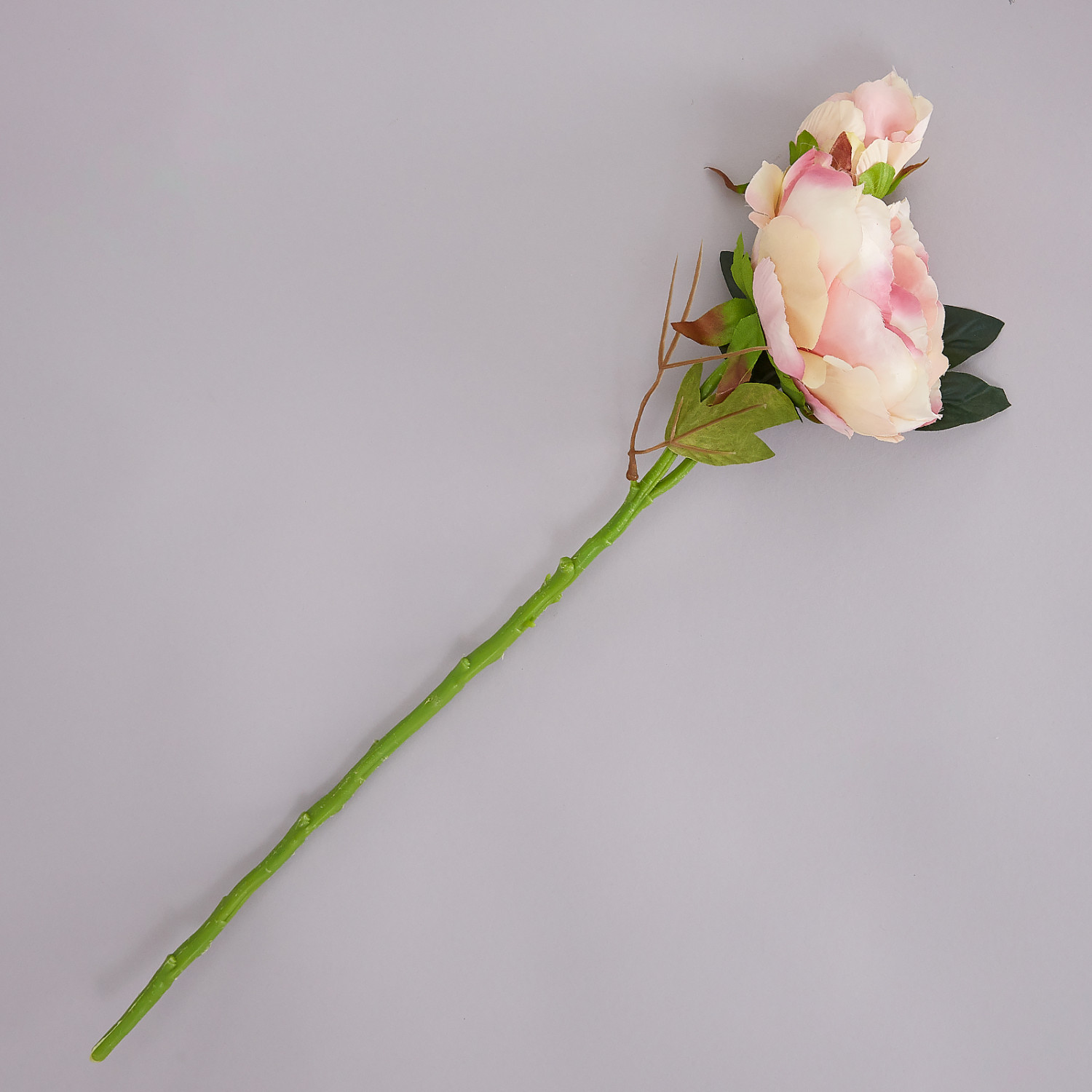 Цветок Fiore - фото № 3