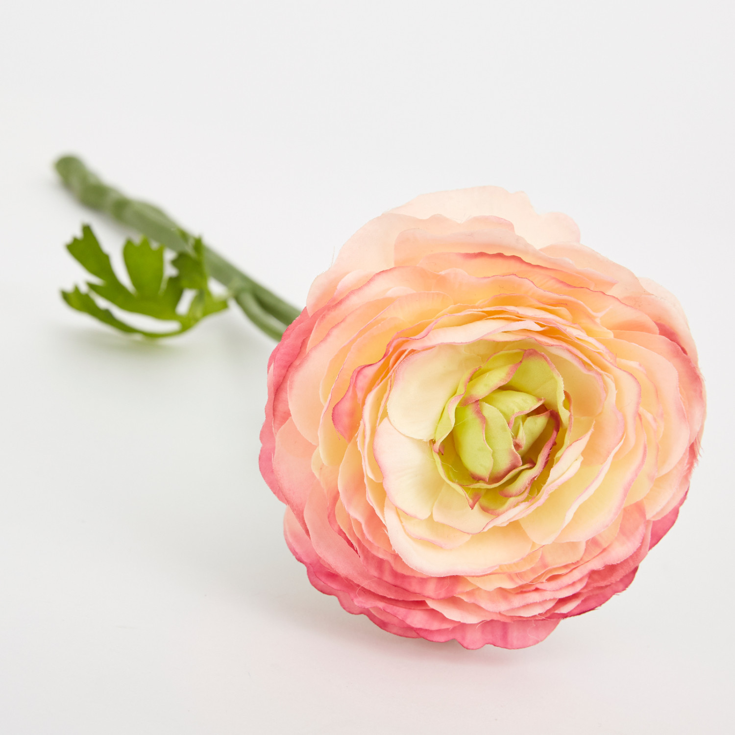 Цветок Ranunculus