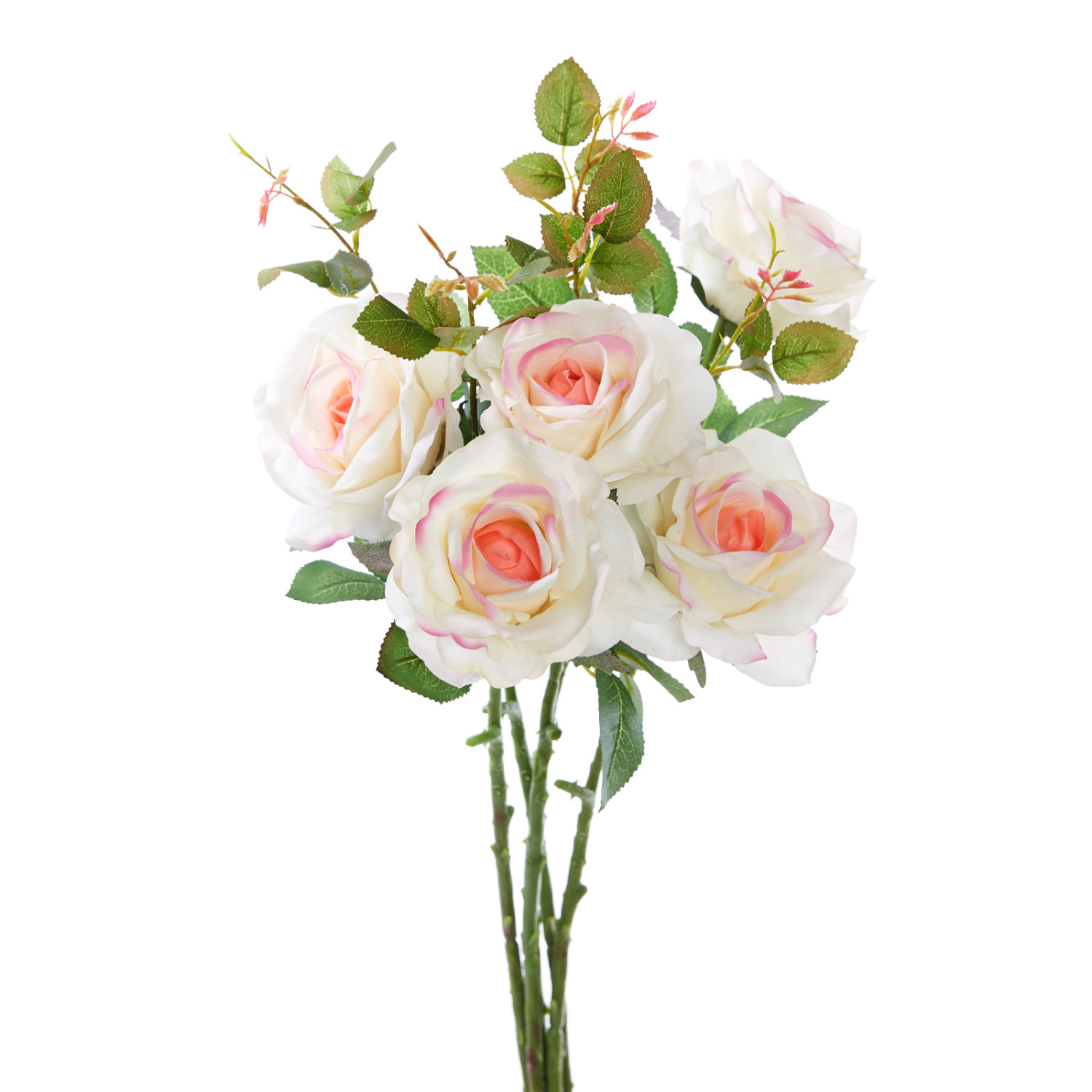 Цветок Peligna