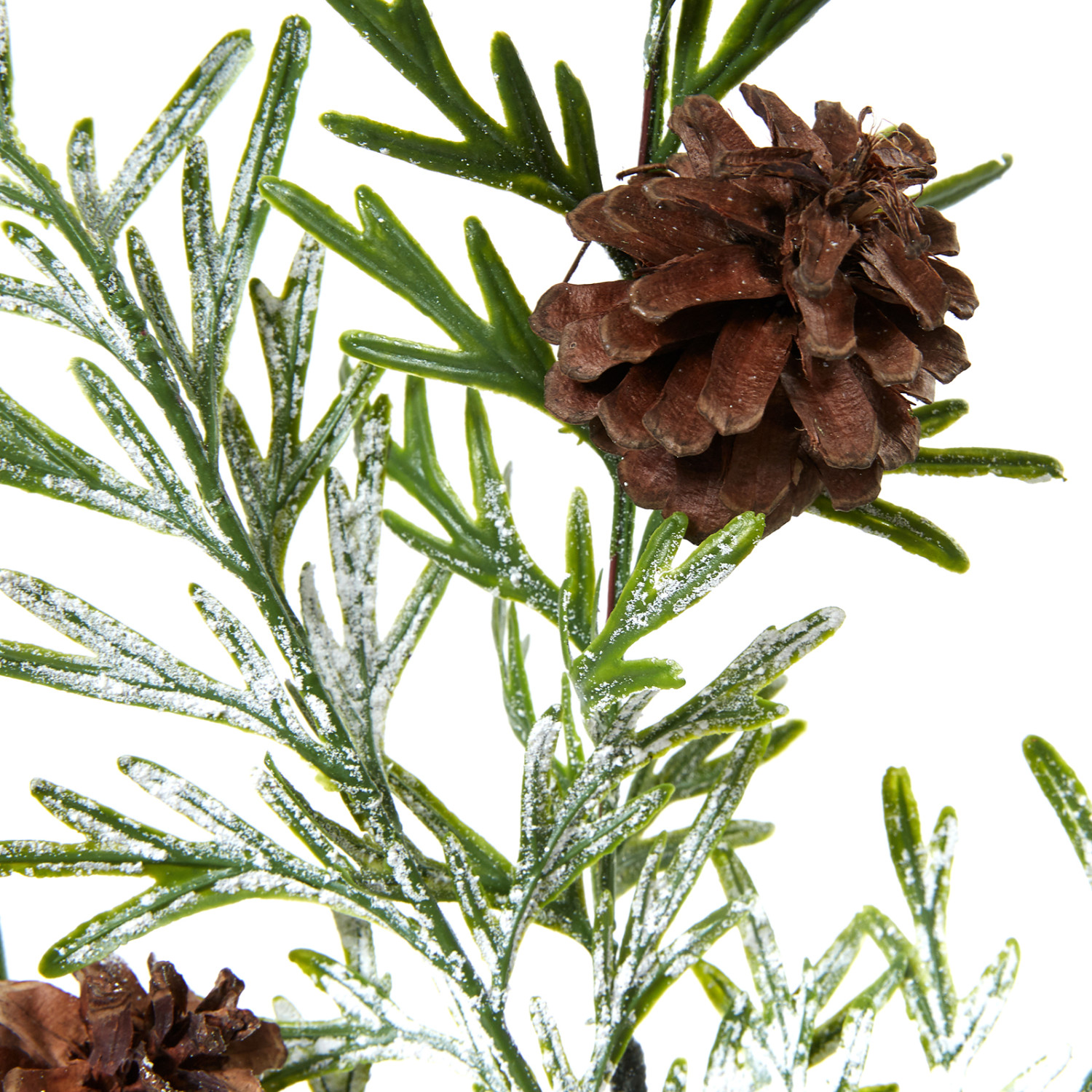 Ветвь Twig - фото № 2