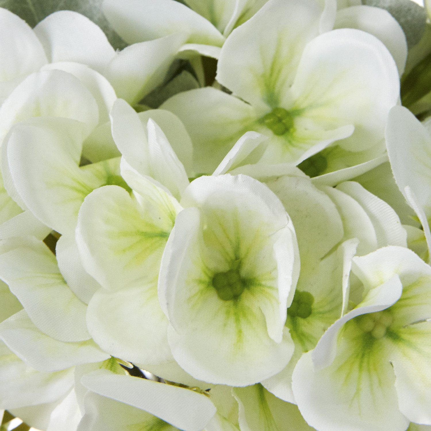 Букет Gortenzija - фото № 2