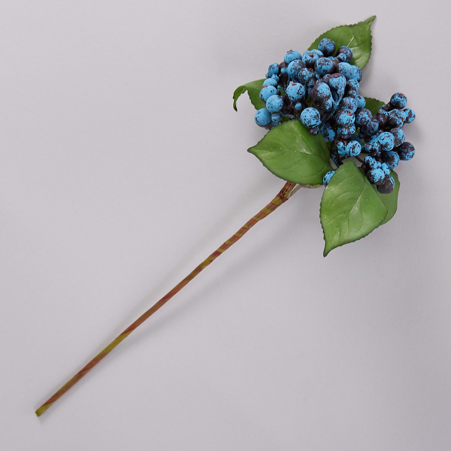 Ветвь Grape - фото № 2