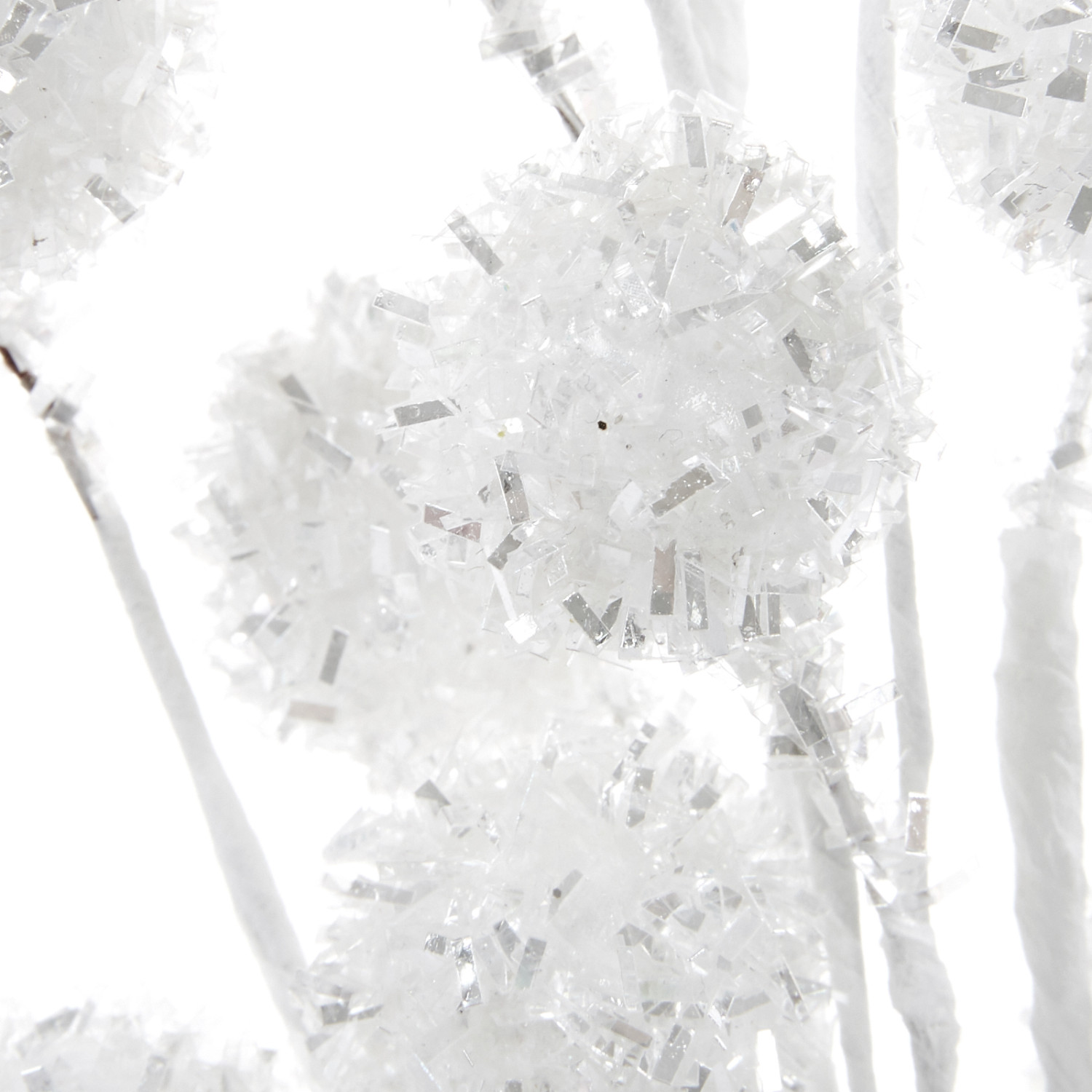 Ветвь White cones - фото № 4