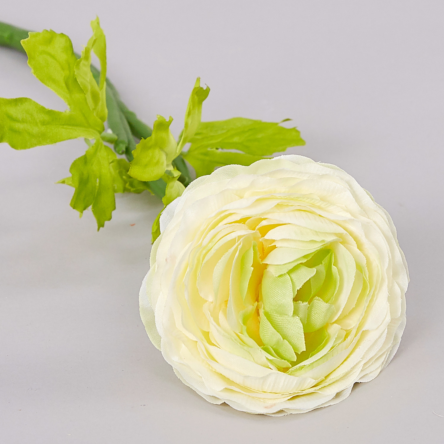 Цветок Ranunculus