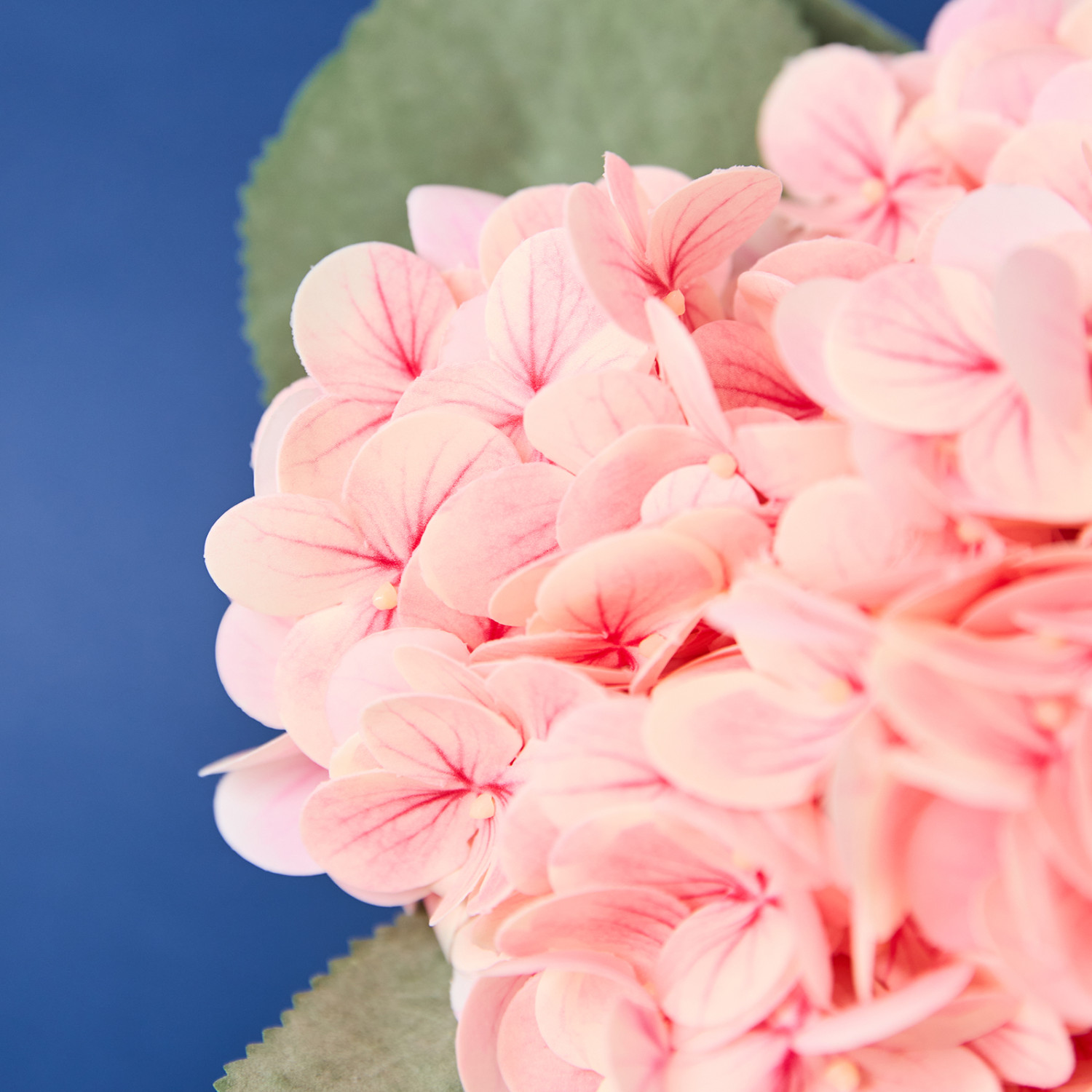 Букет Лече/Lecce, розовый - фото № 2