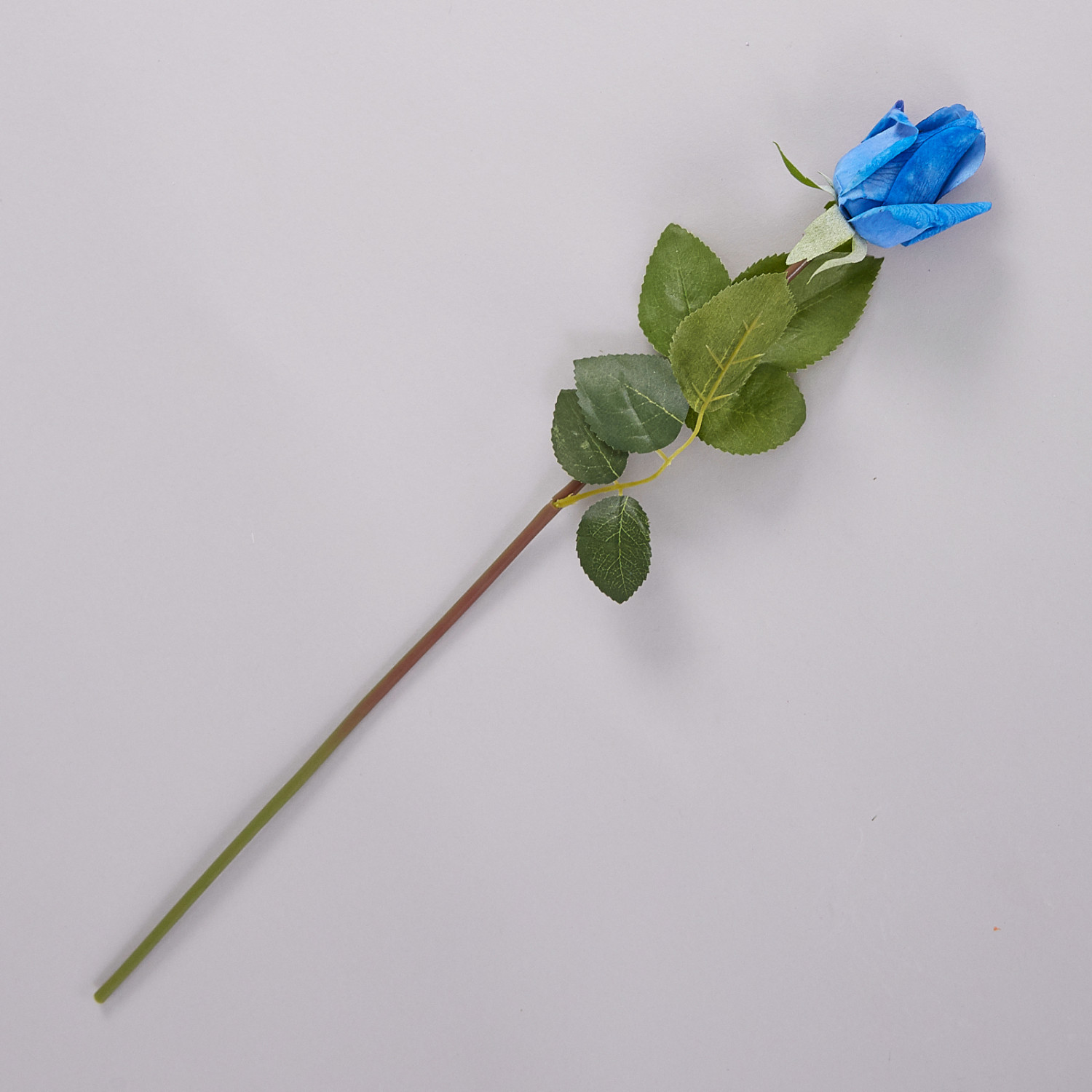 Цветок Rosa - фото № 2