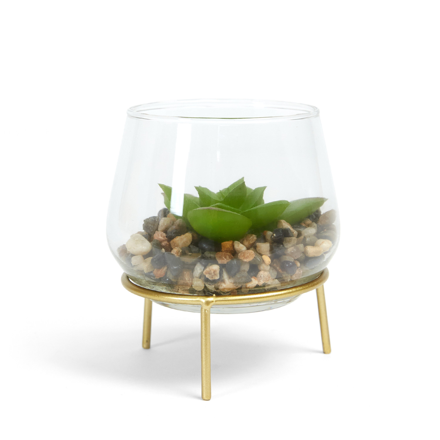 Цветок в горшке Candio