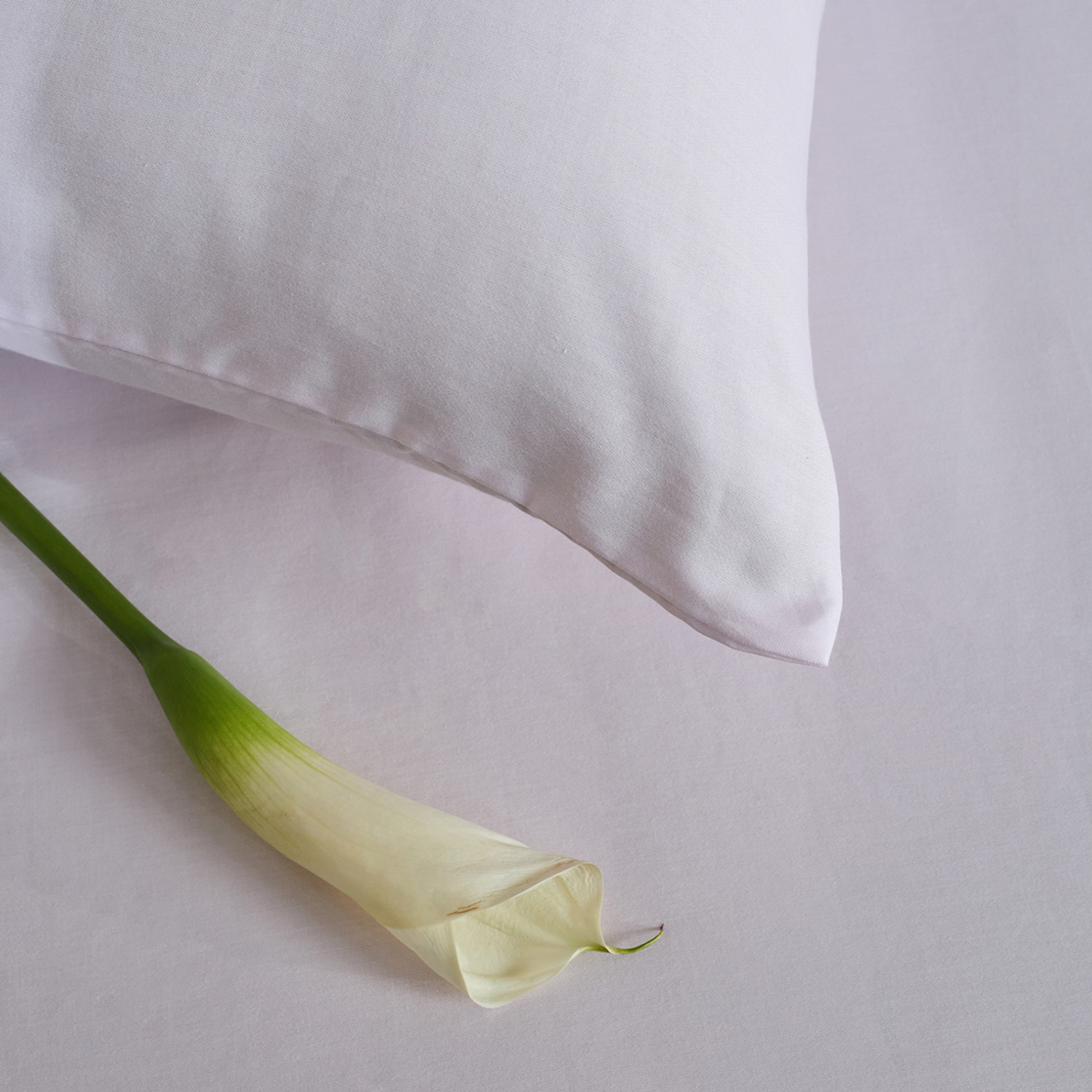 Постельное белье Рэйчел - фото № 11