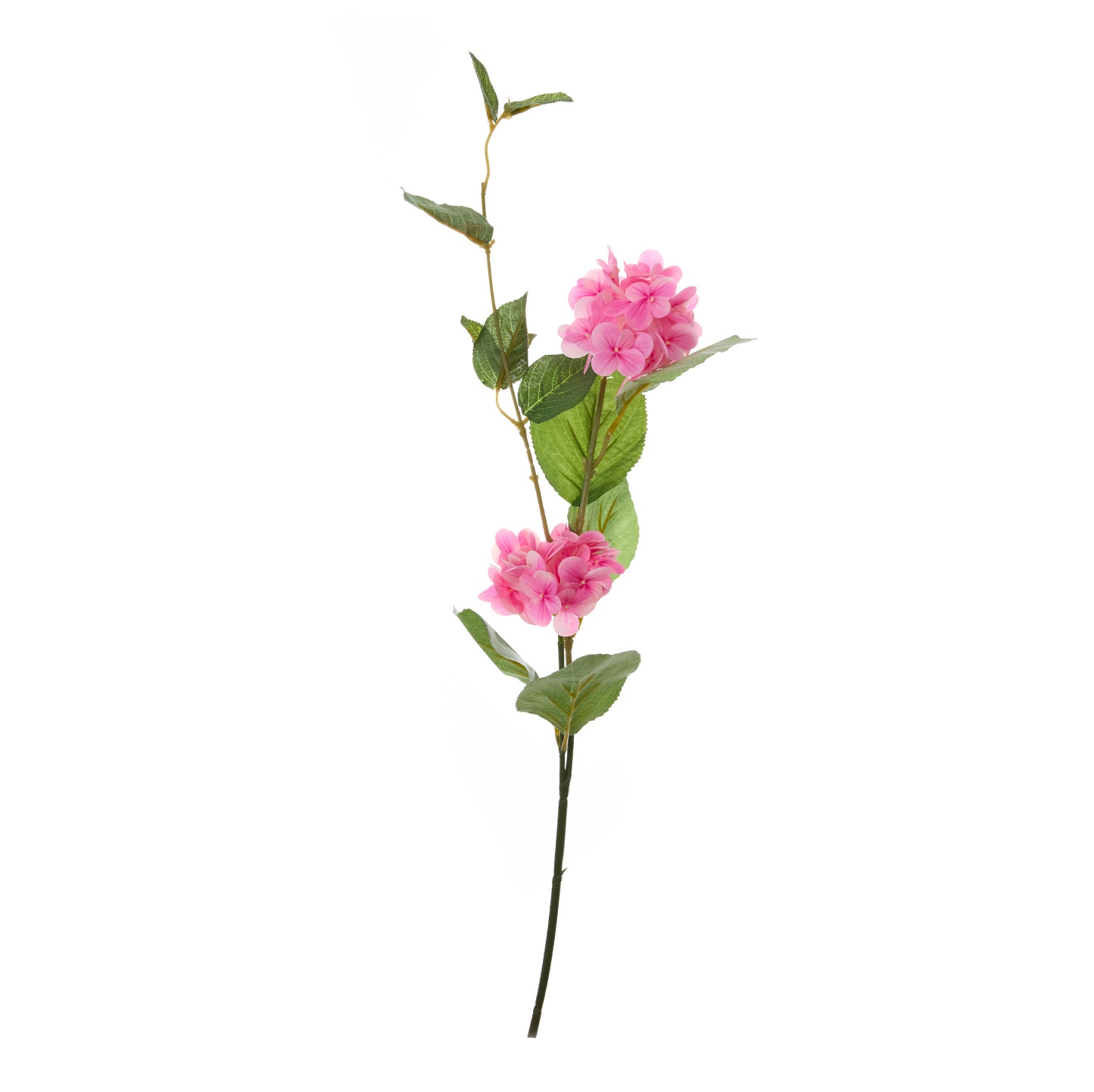 Цветок Hydrangea, розовый - фото № 3