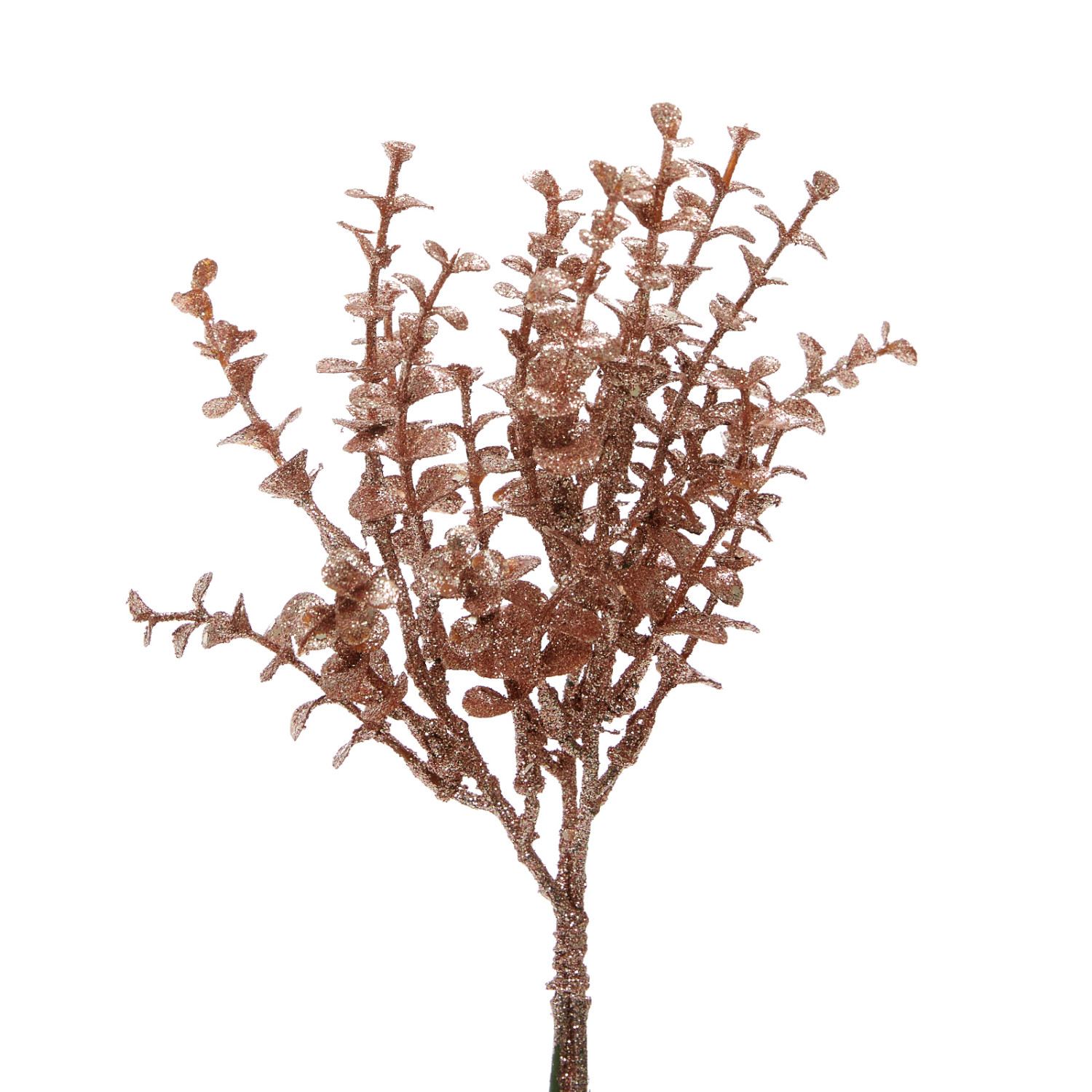 Ветвь Nafodo - фото № 2