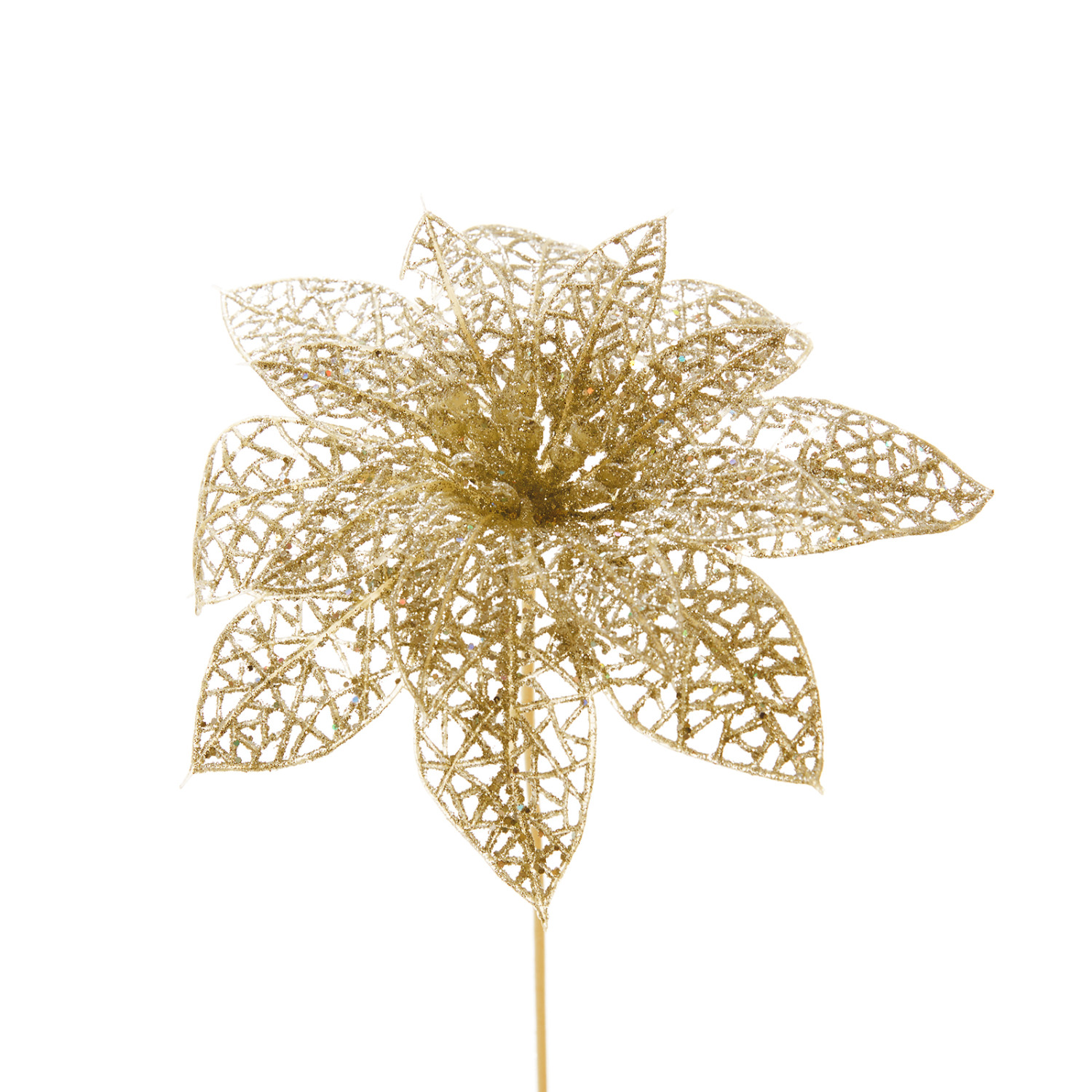 Цветок Puansetiya