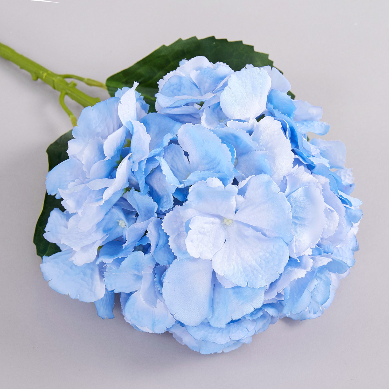 Цветок Ortensia