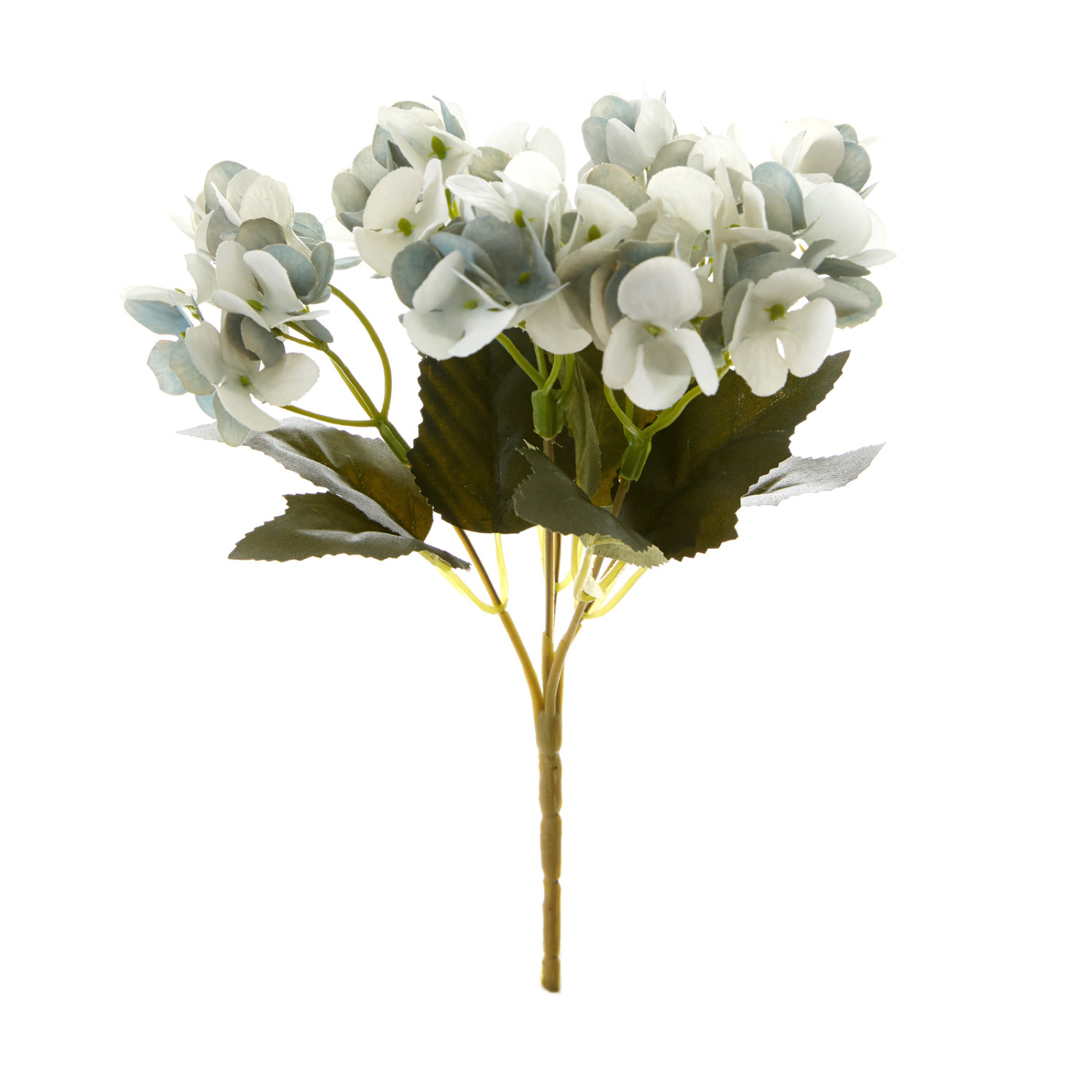 Цветок Gortenzija