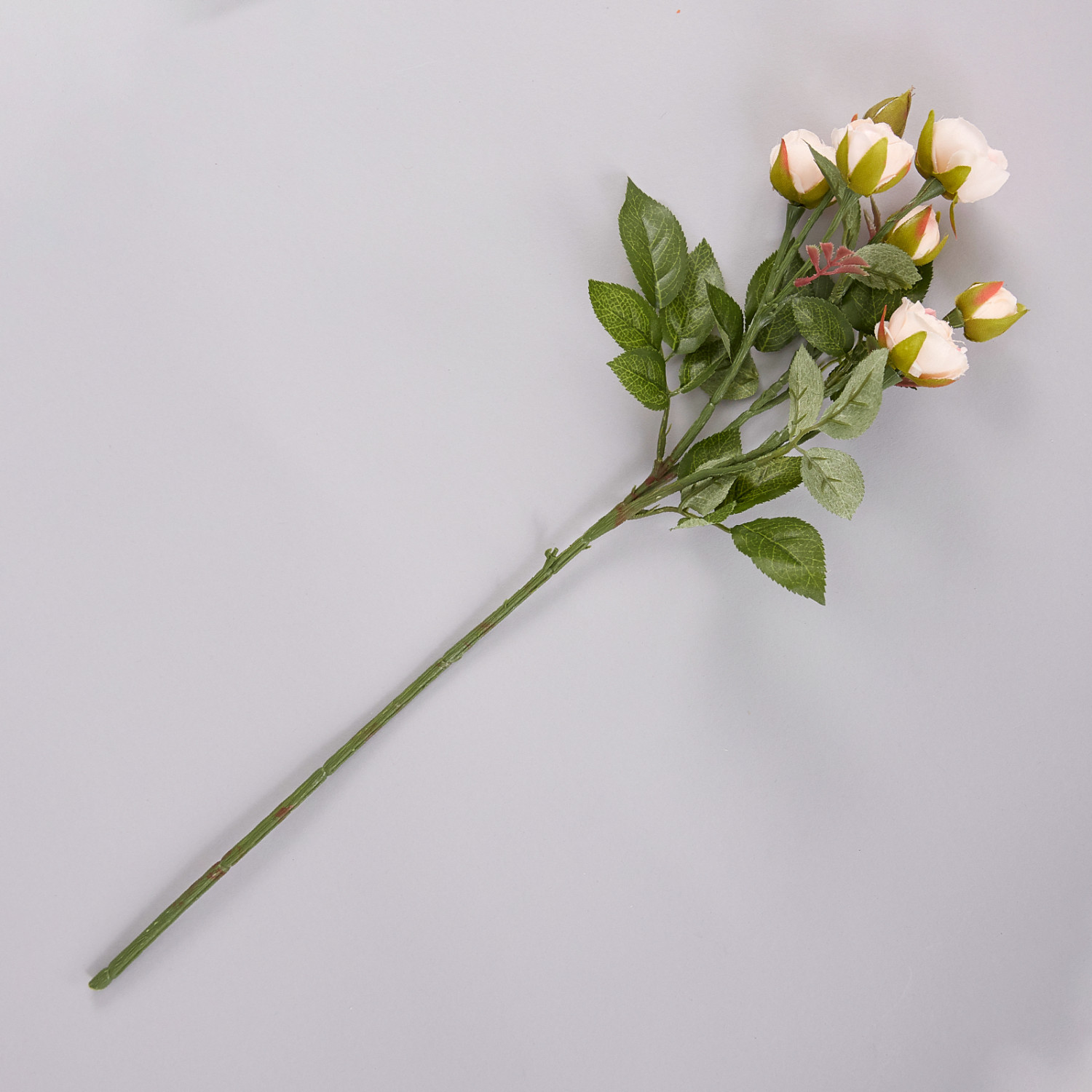 Цветок Imperia - фото № 2