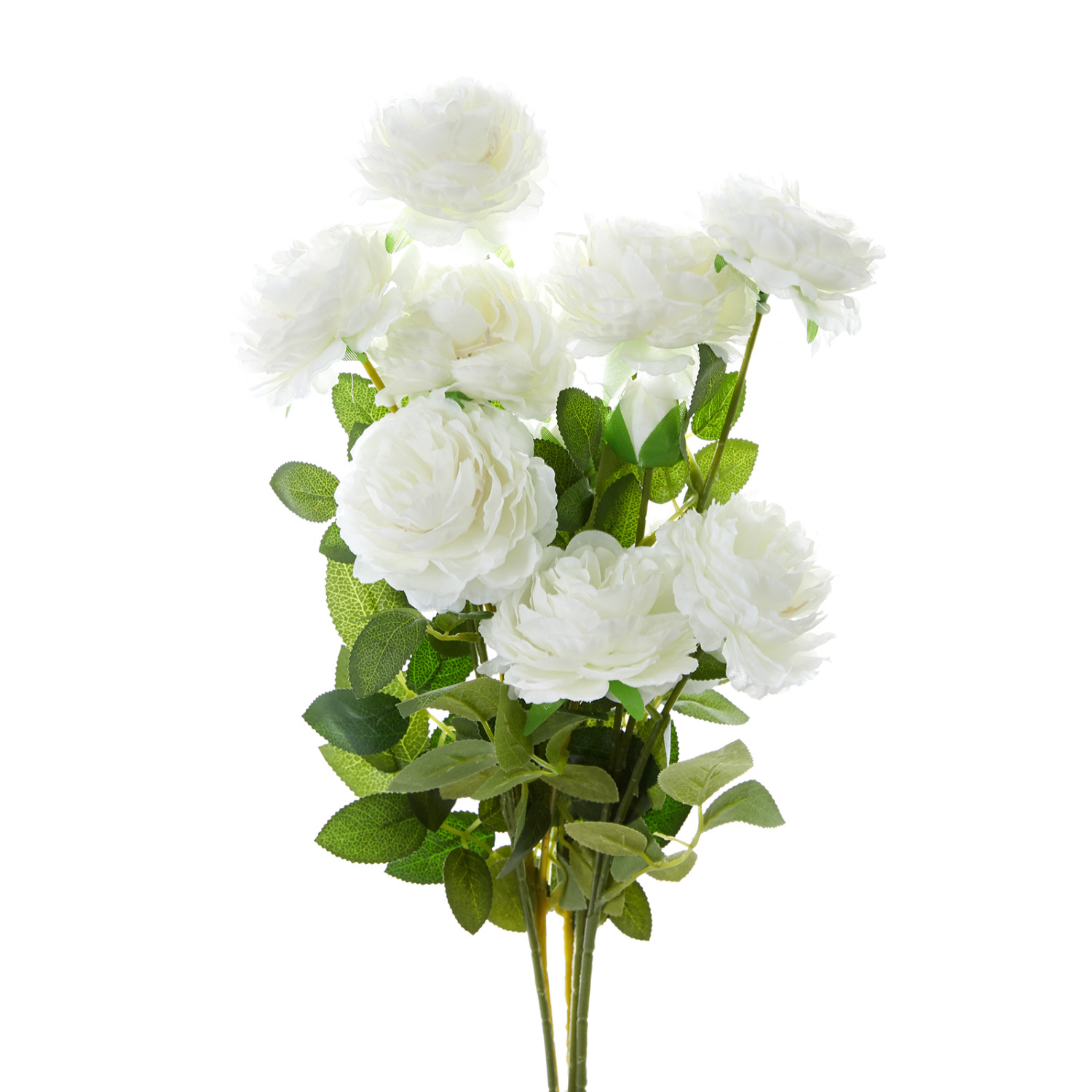 Цветок Rose