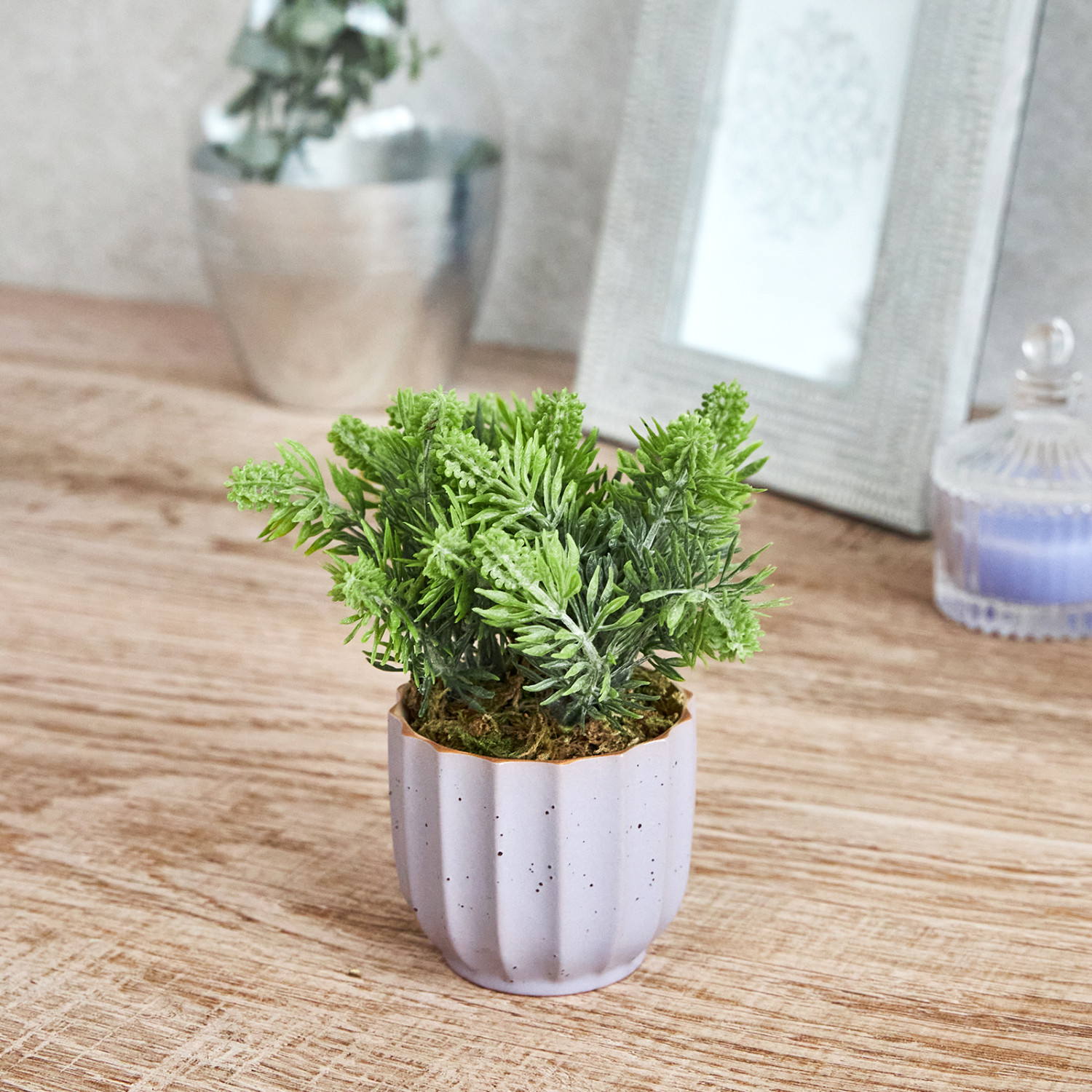 Цветок Pontegrande