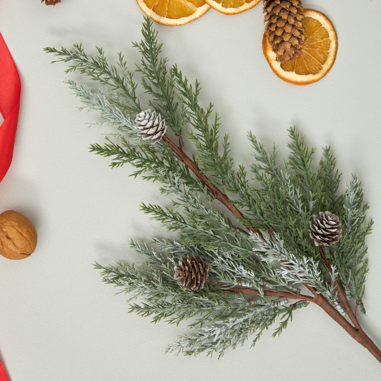 Ветвь Rametto VI