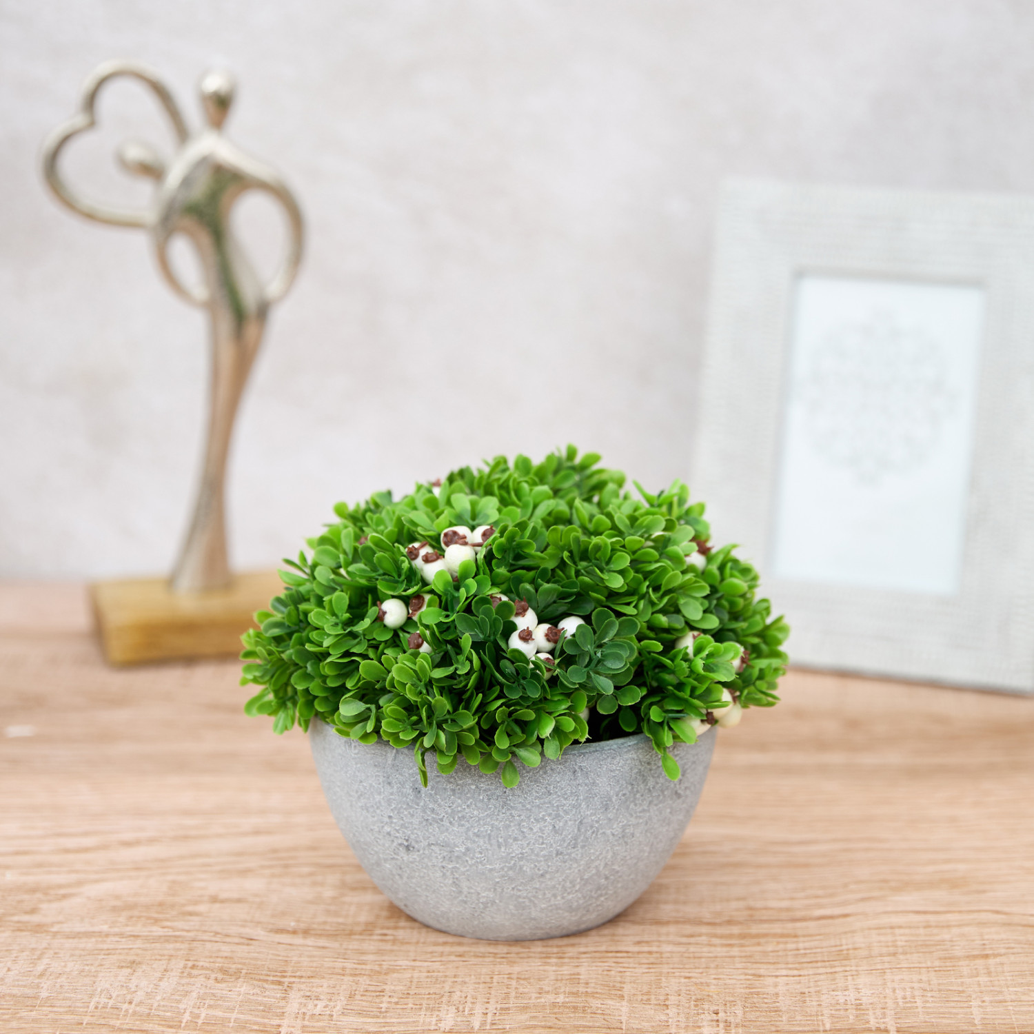 Цветок в горшке Sabino