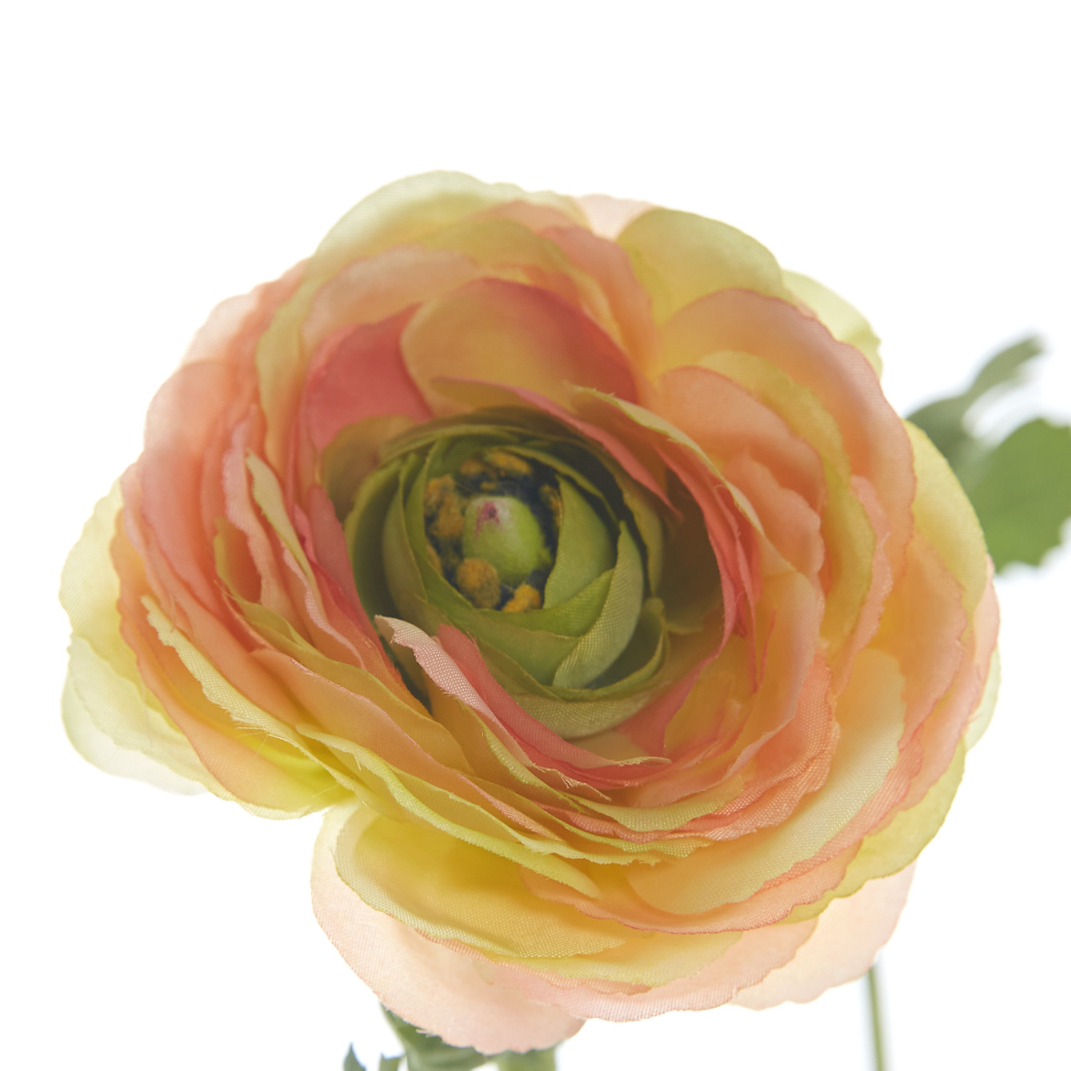 Цветок TIore - фото № 2