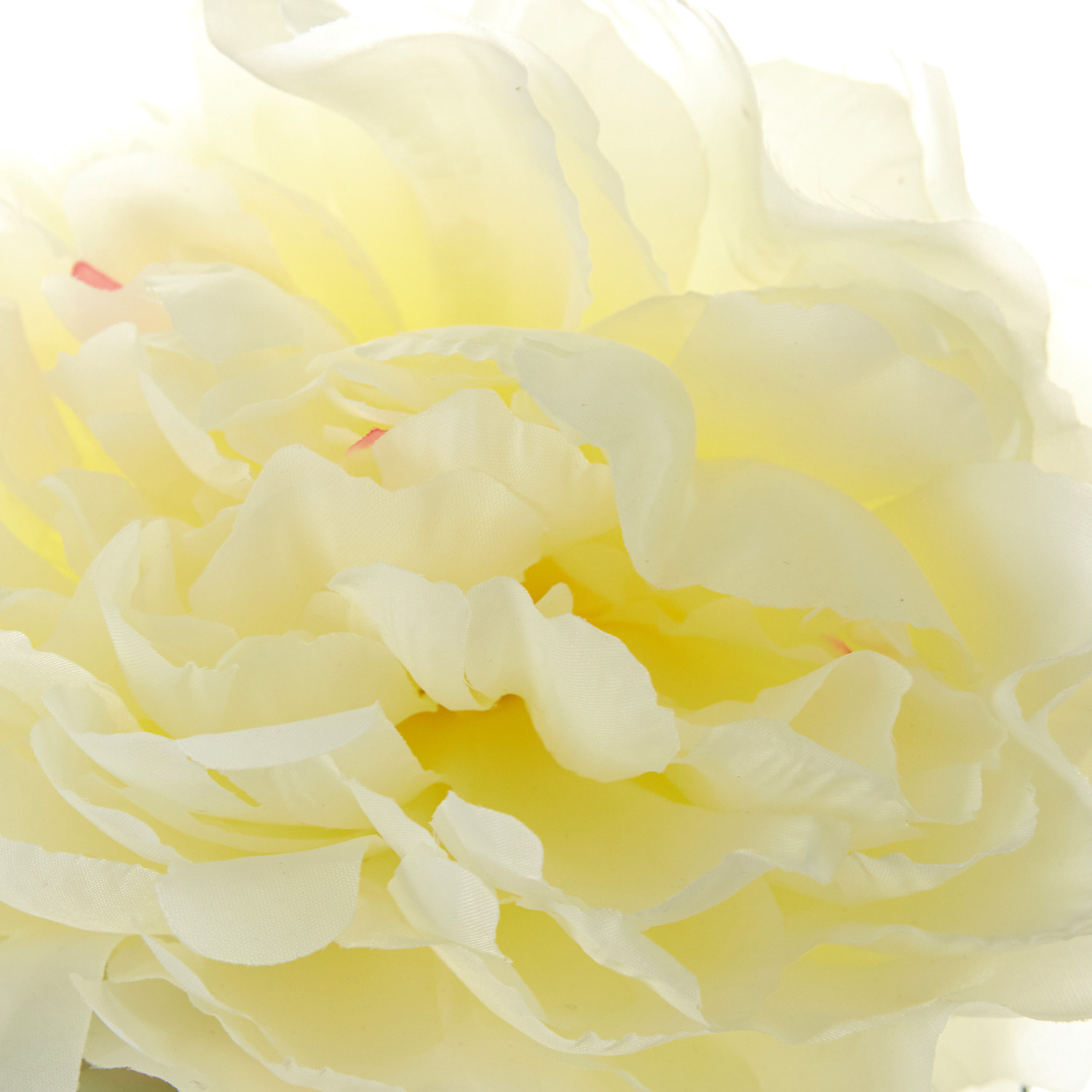 Цветок Пион - фото № 3