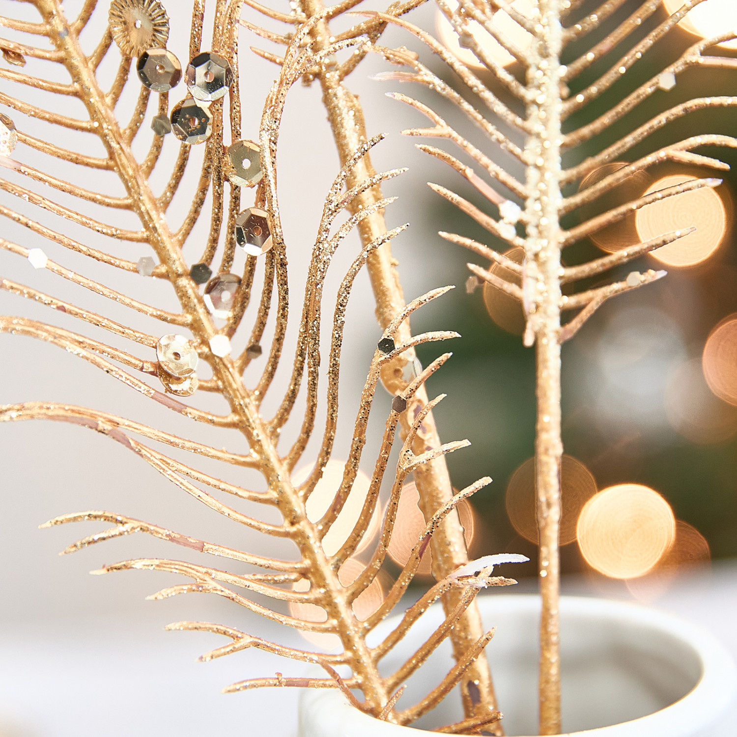 Ветвь Barisano - фото № 3