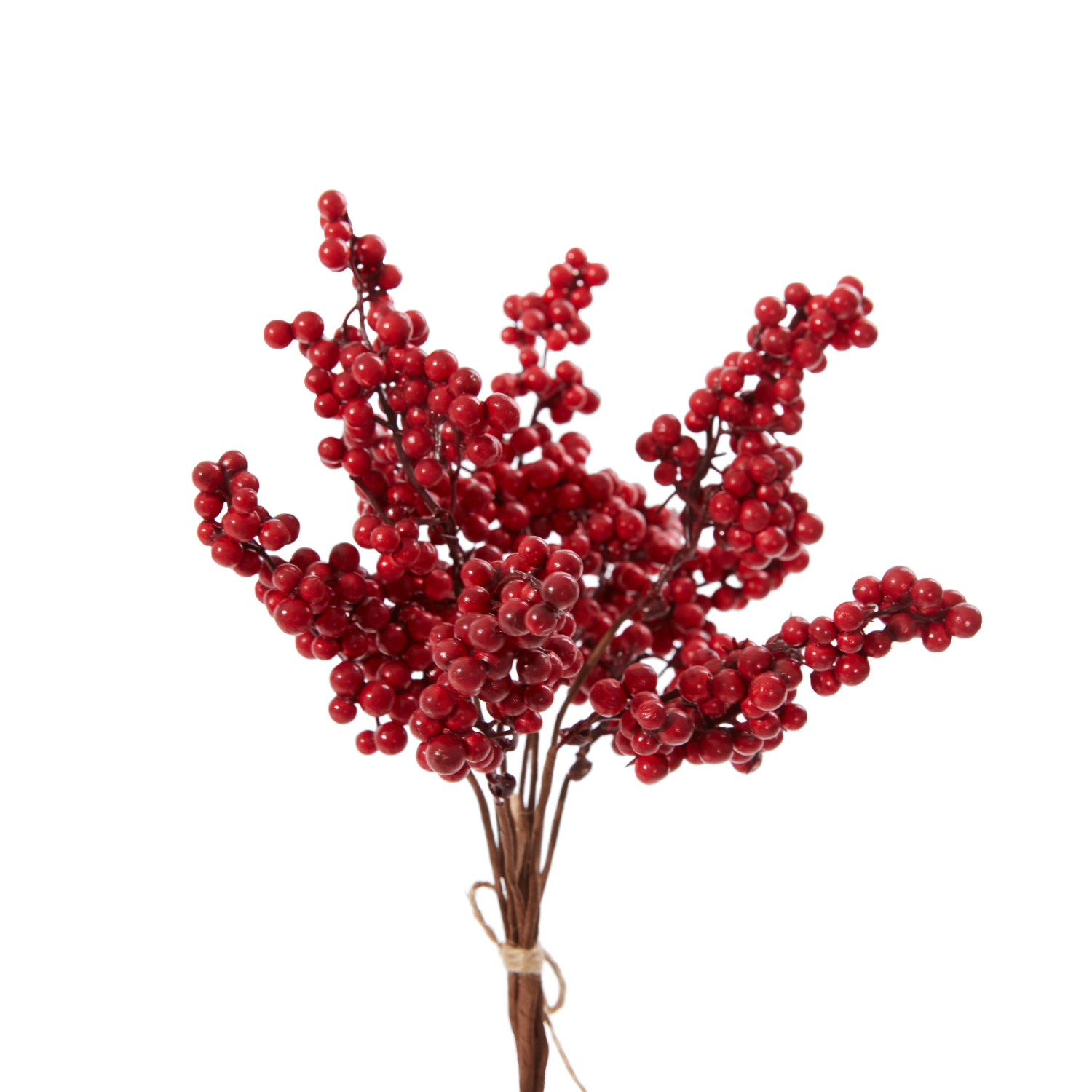 Ветвь с ягодами Rossetta - фото № 3