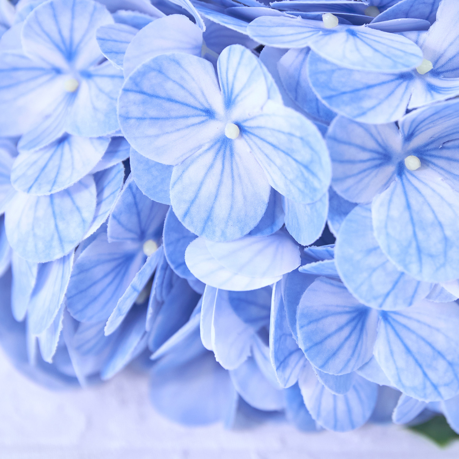 Букет Lecce, голубой - фото № 3