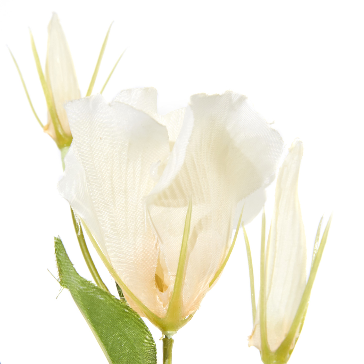 Цветок Eustoma - фото № 2