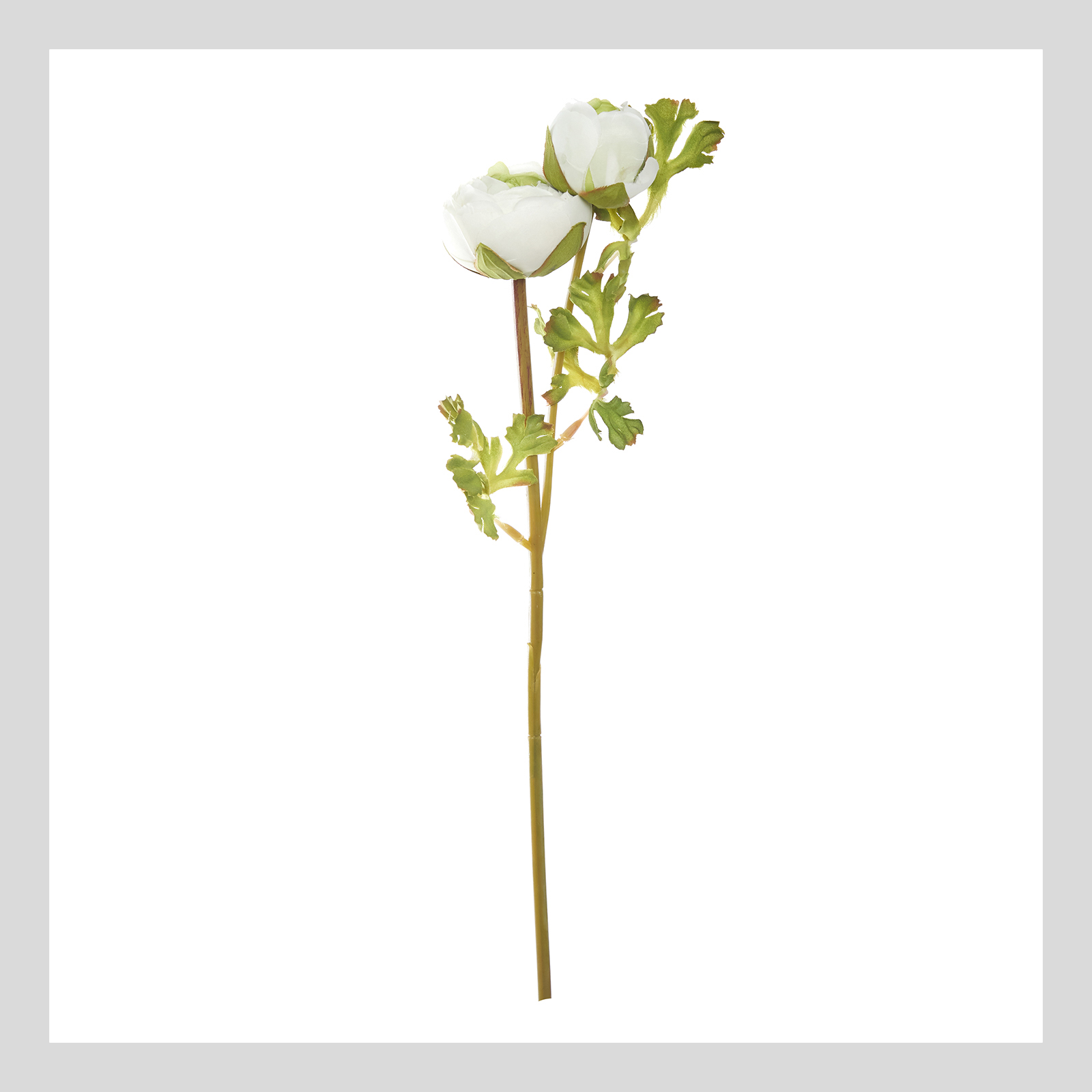 Цветок Ranunculus Bowd CozyHome, размер Один размер