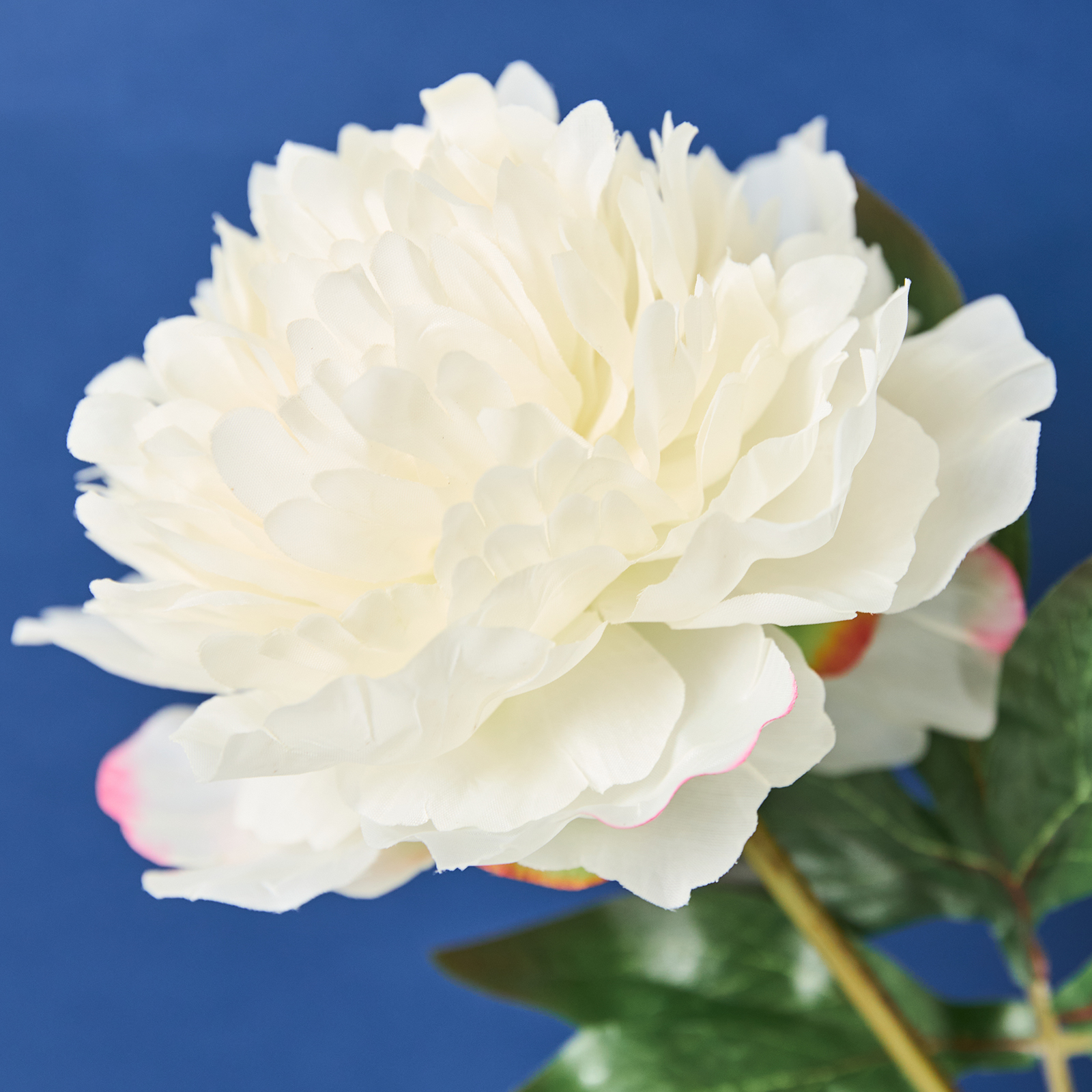 Цветок Genova, белый для матраса фулл протекшн трикотажный с бортом белый трикотаж 1600 х 2000 мм