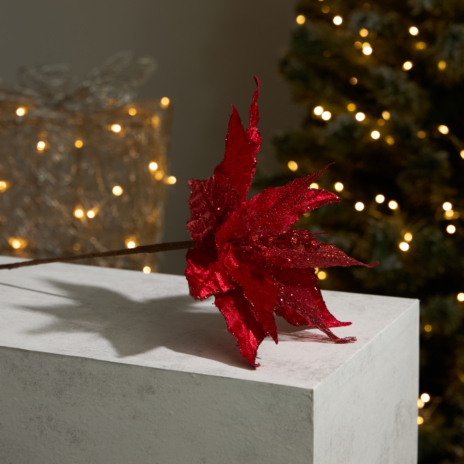 Цветок Пуансеттия/Poinsettia II