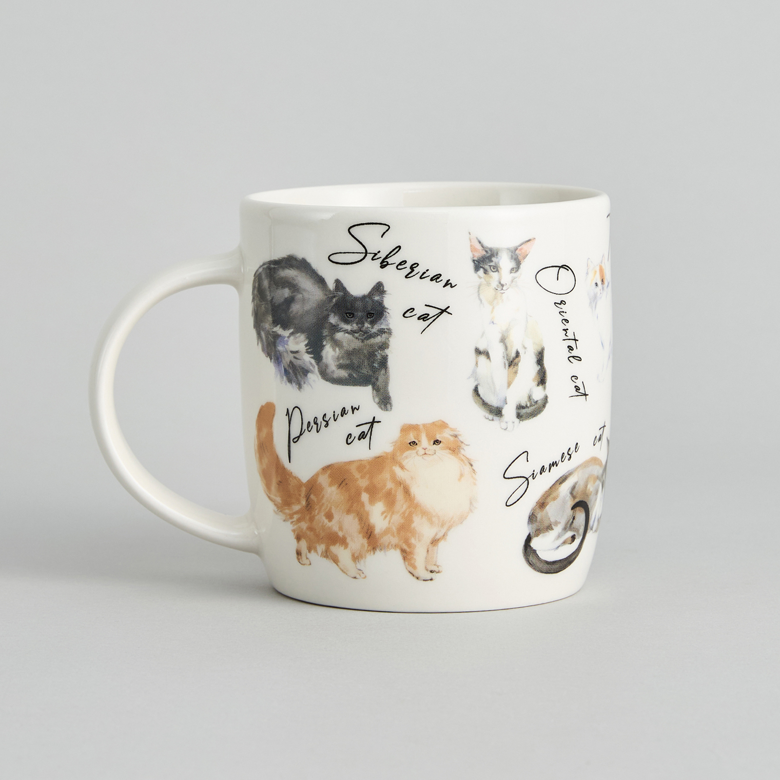 Кружка Клуб кошек/Cat club