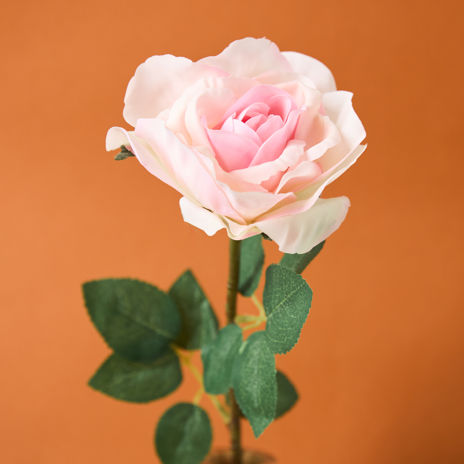 Цветок Sardegna, розовый сушилка для посуды fissman розовый поддон