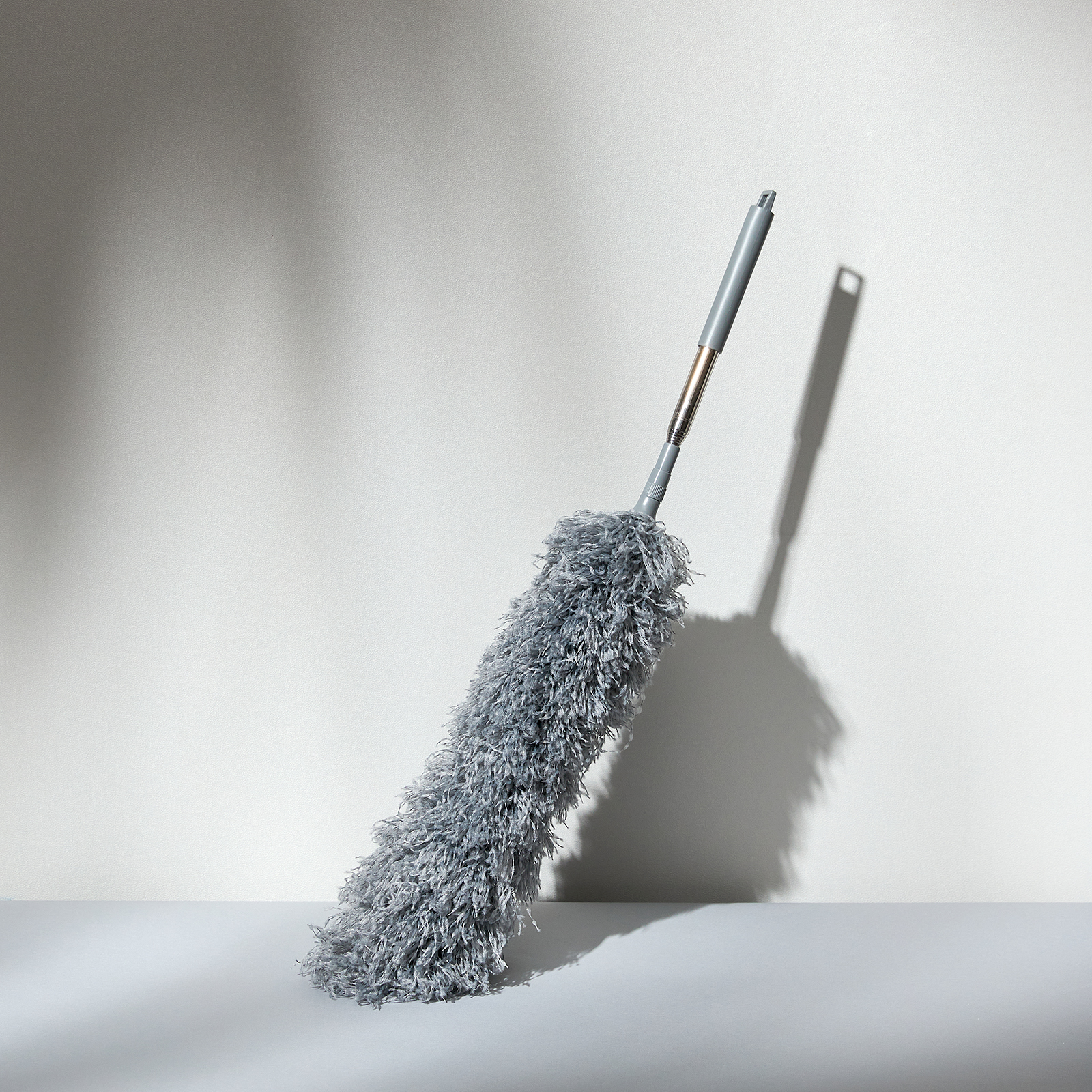 Метелка Париньяну/Paringianu