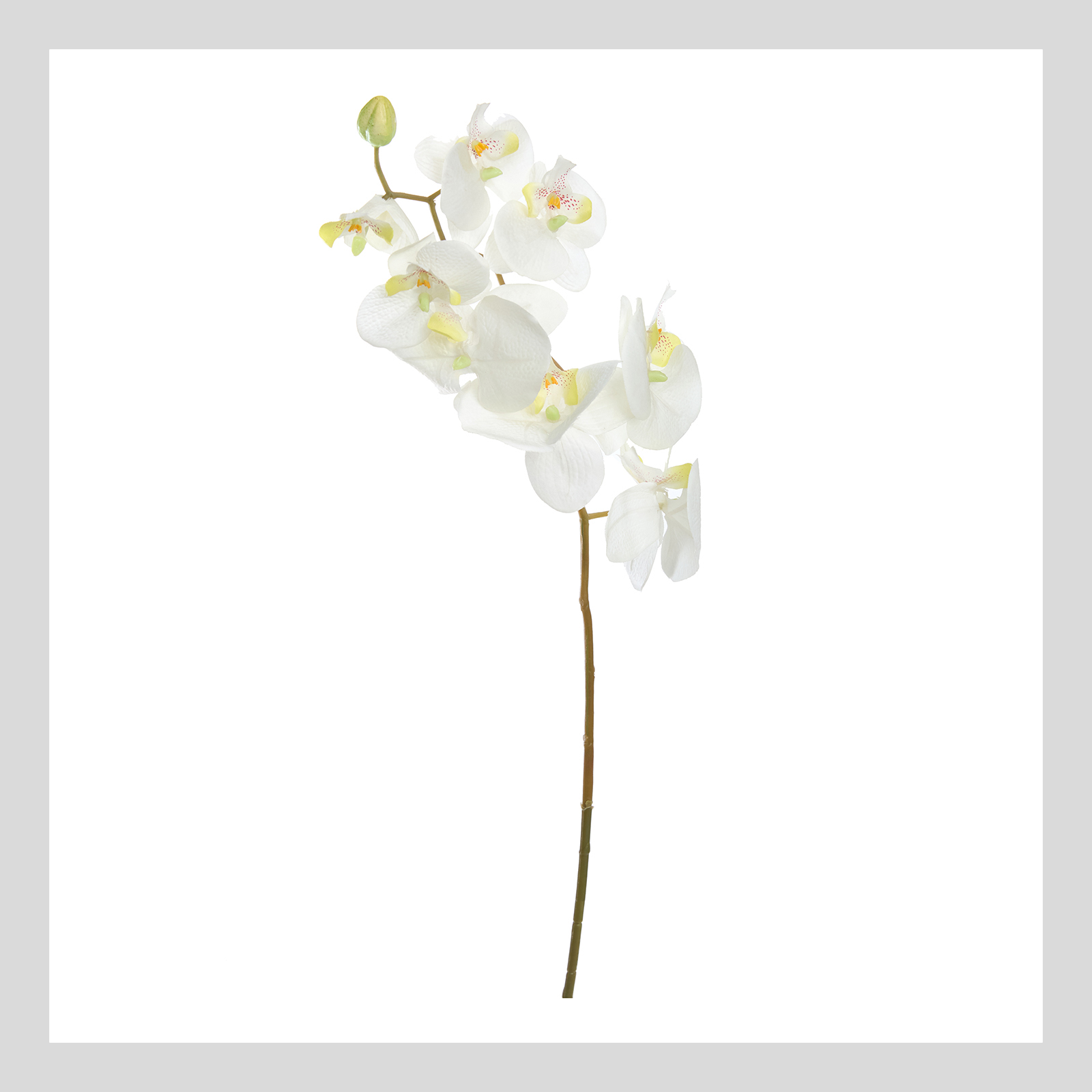 Цветок Orchid Ware CozyHome, размер Один размер