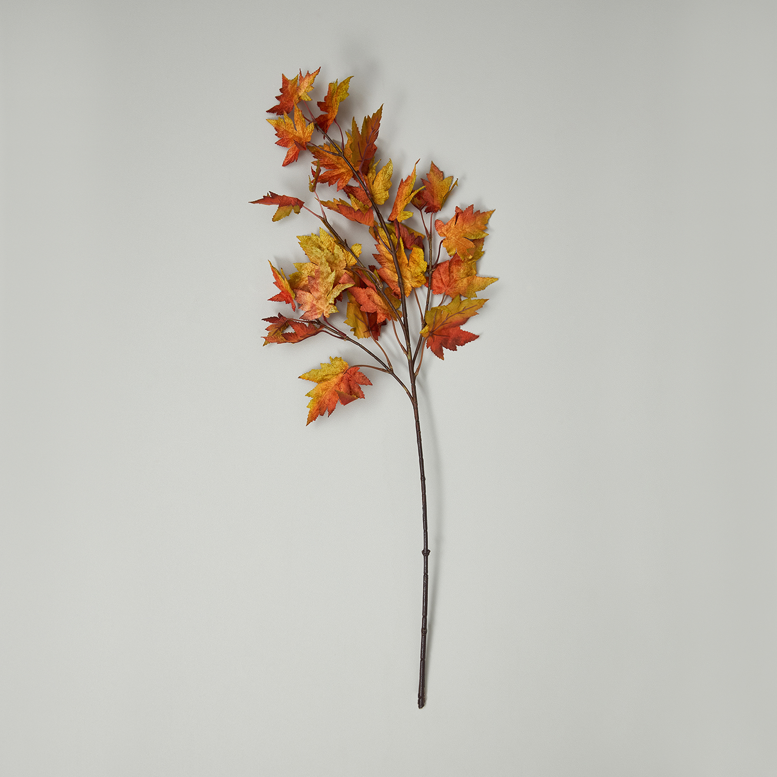 Ветвь Осенний лес/Autumn forest II