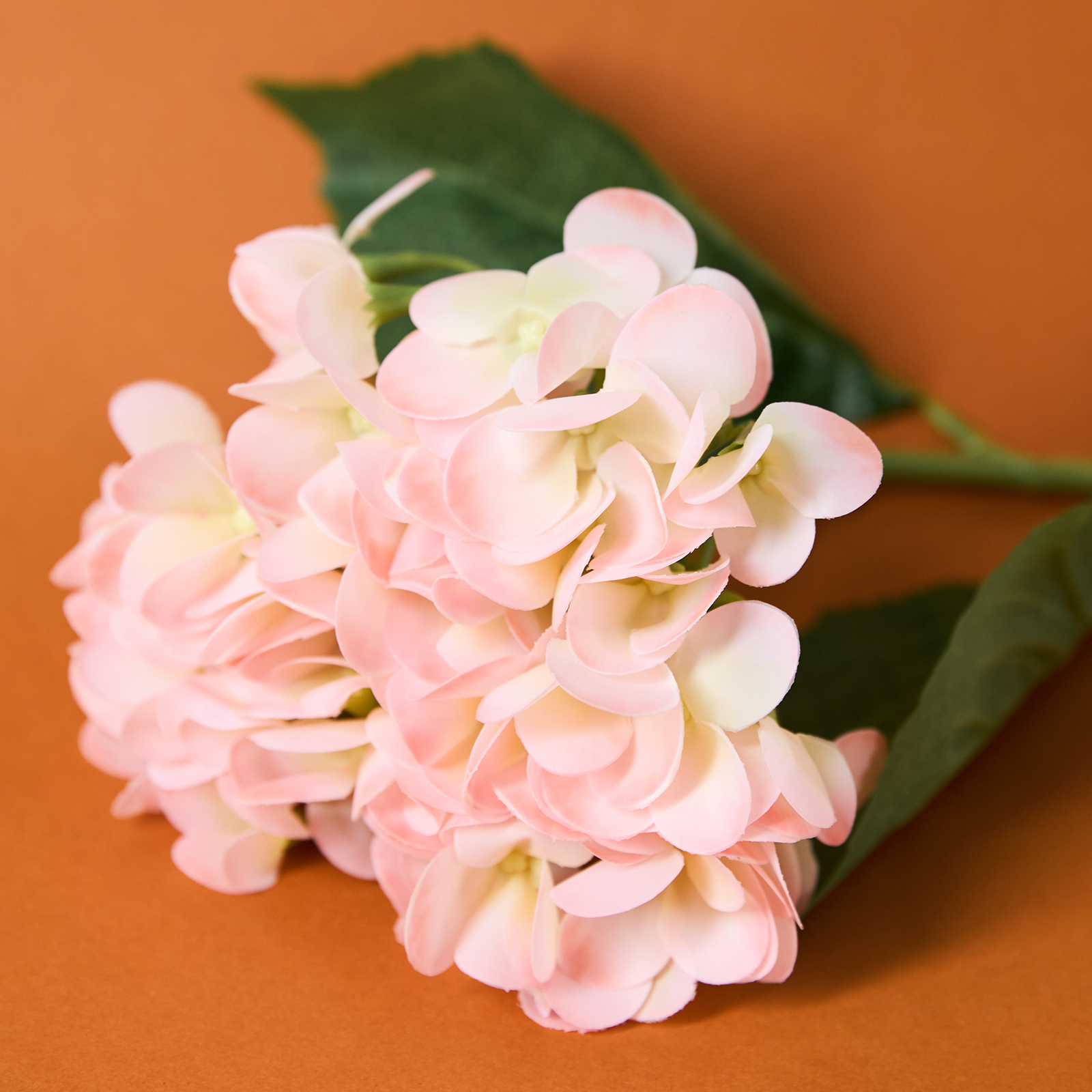 Цветок Messina, розовый osso толстовка из велюра с капюшоном для собак розовый