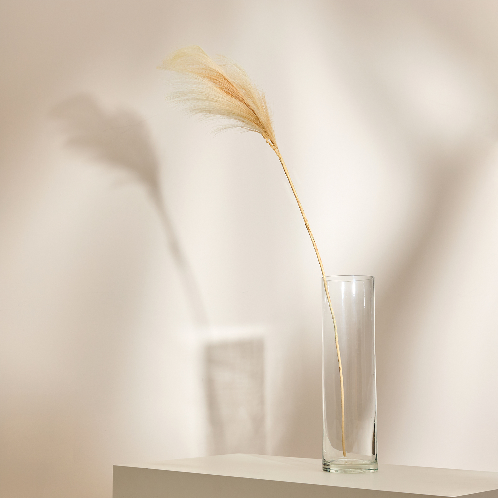 Ветвь Благословение/Bless